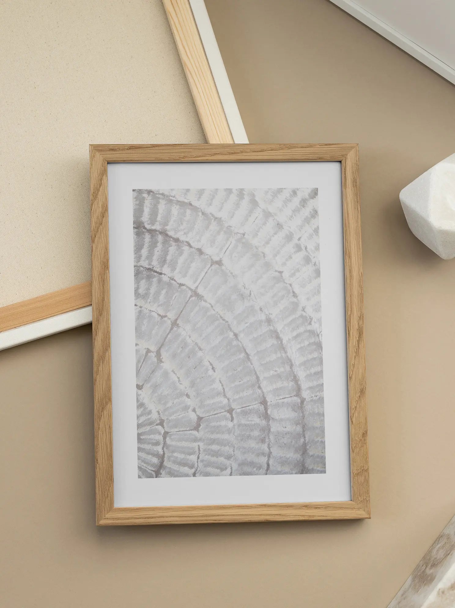 Tree Rings Poster