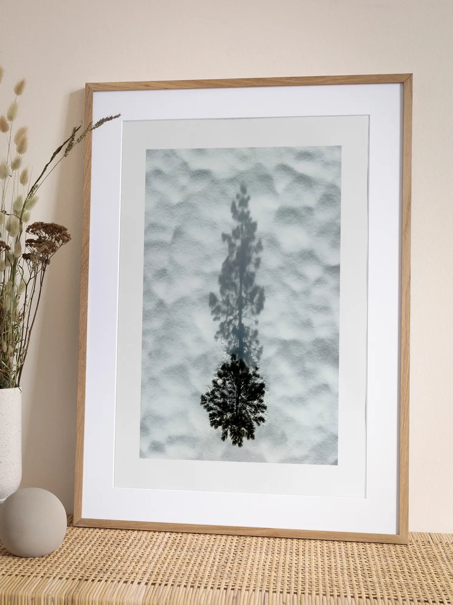 Tree Shadow on Snow Poster