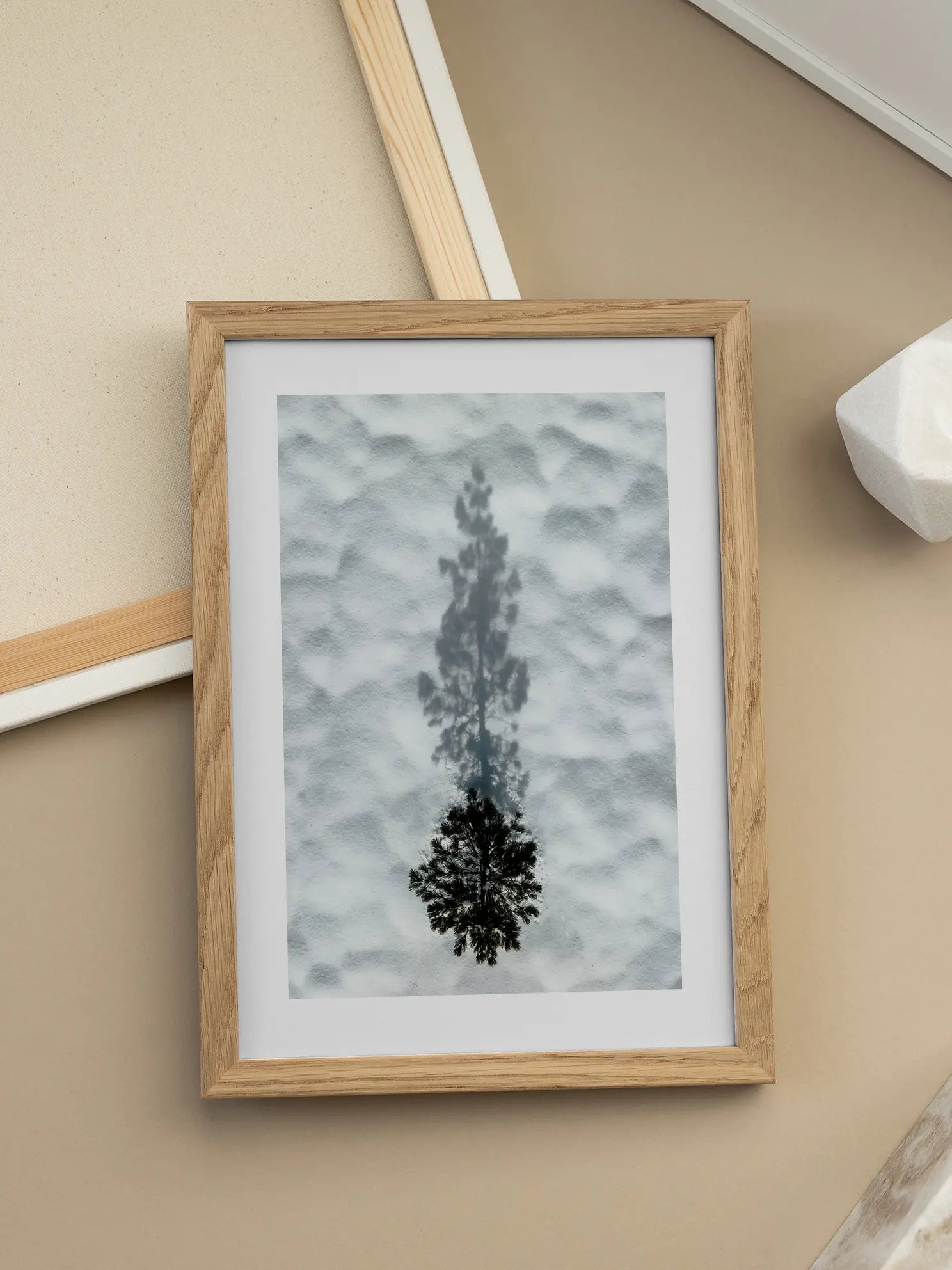 Tree Shadow on Snow Poster