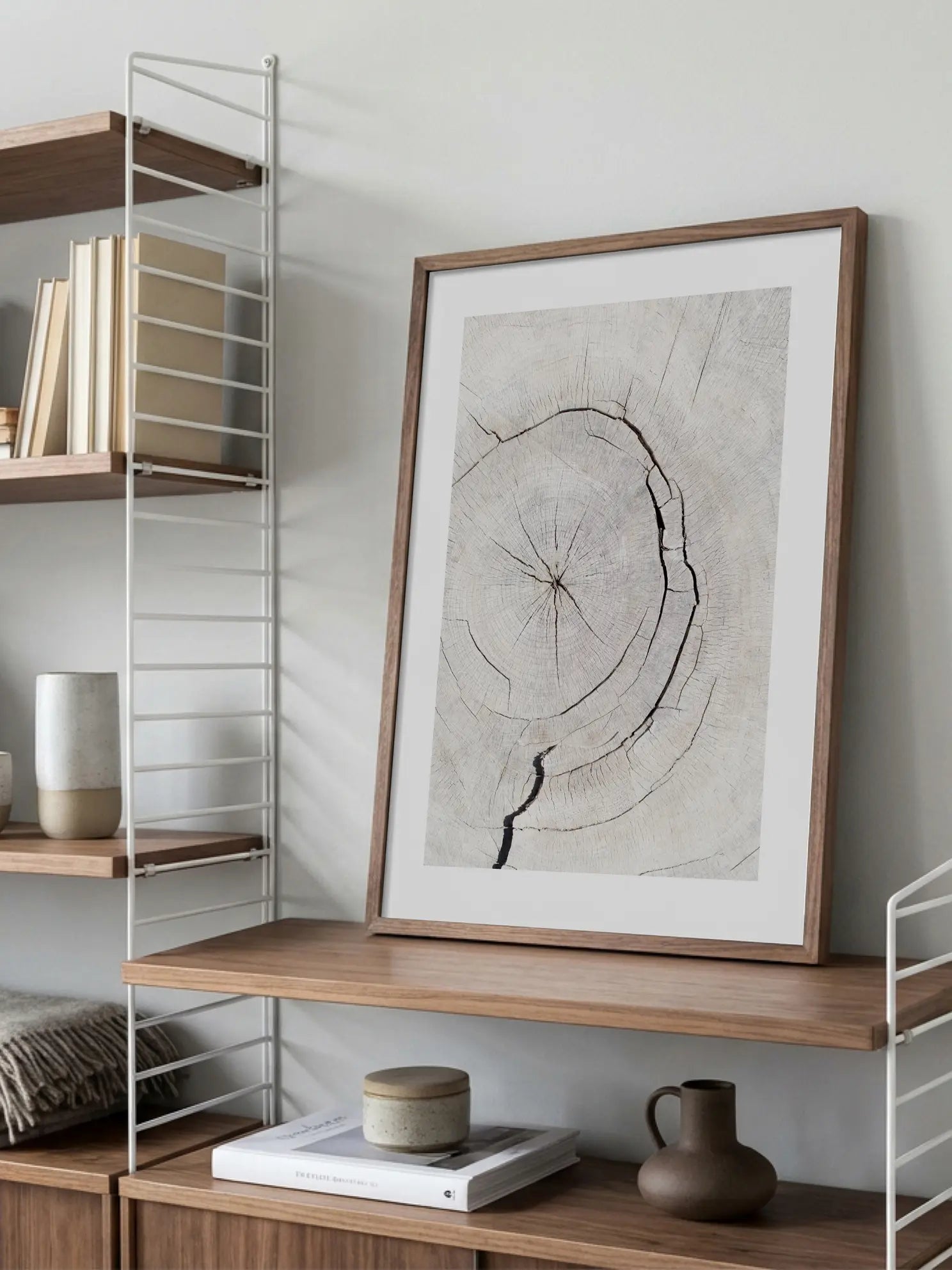 Tree Trunk Close Up Poster