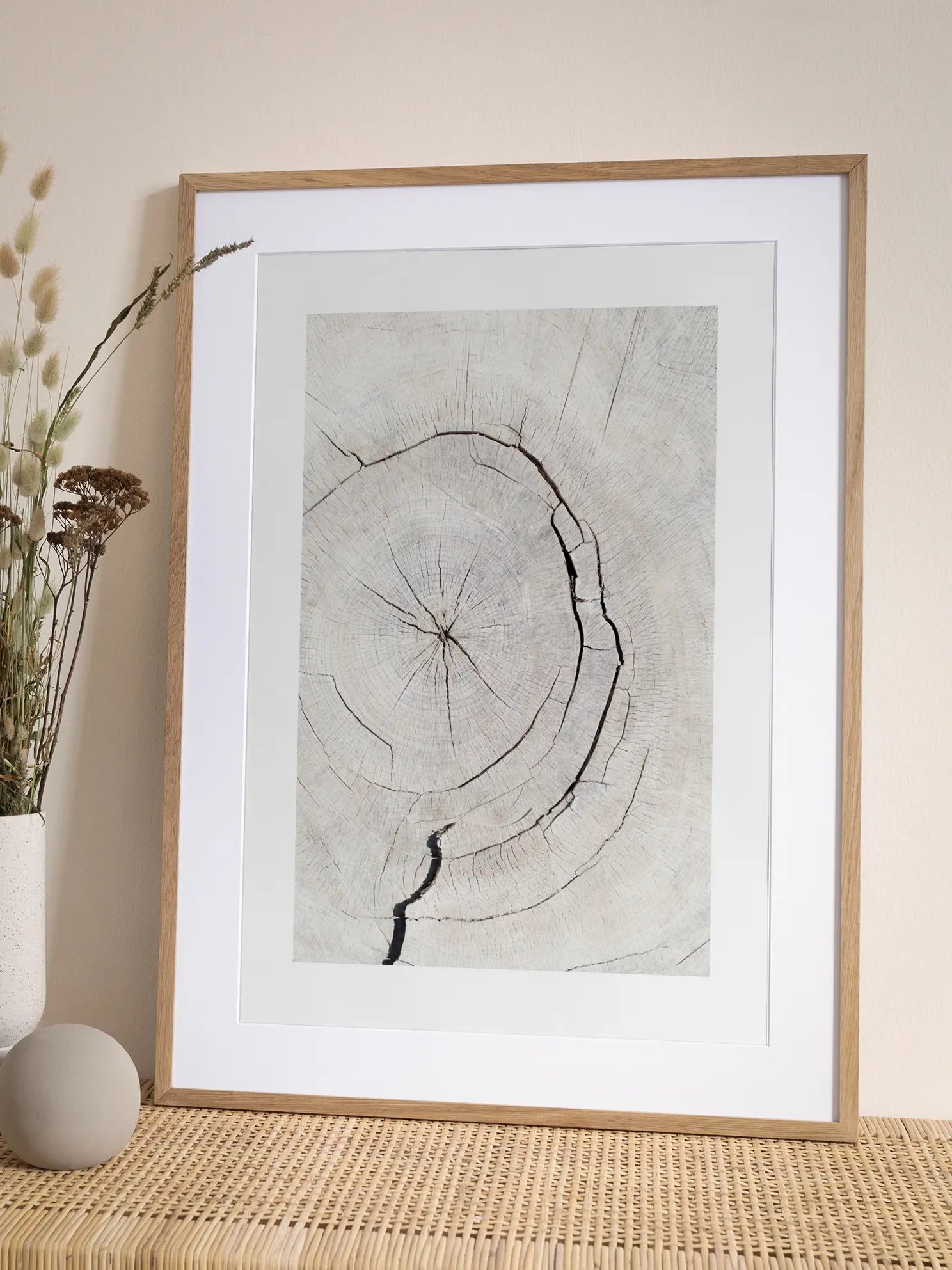 Tree Trunk Close Up Poster