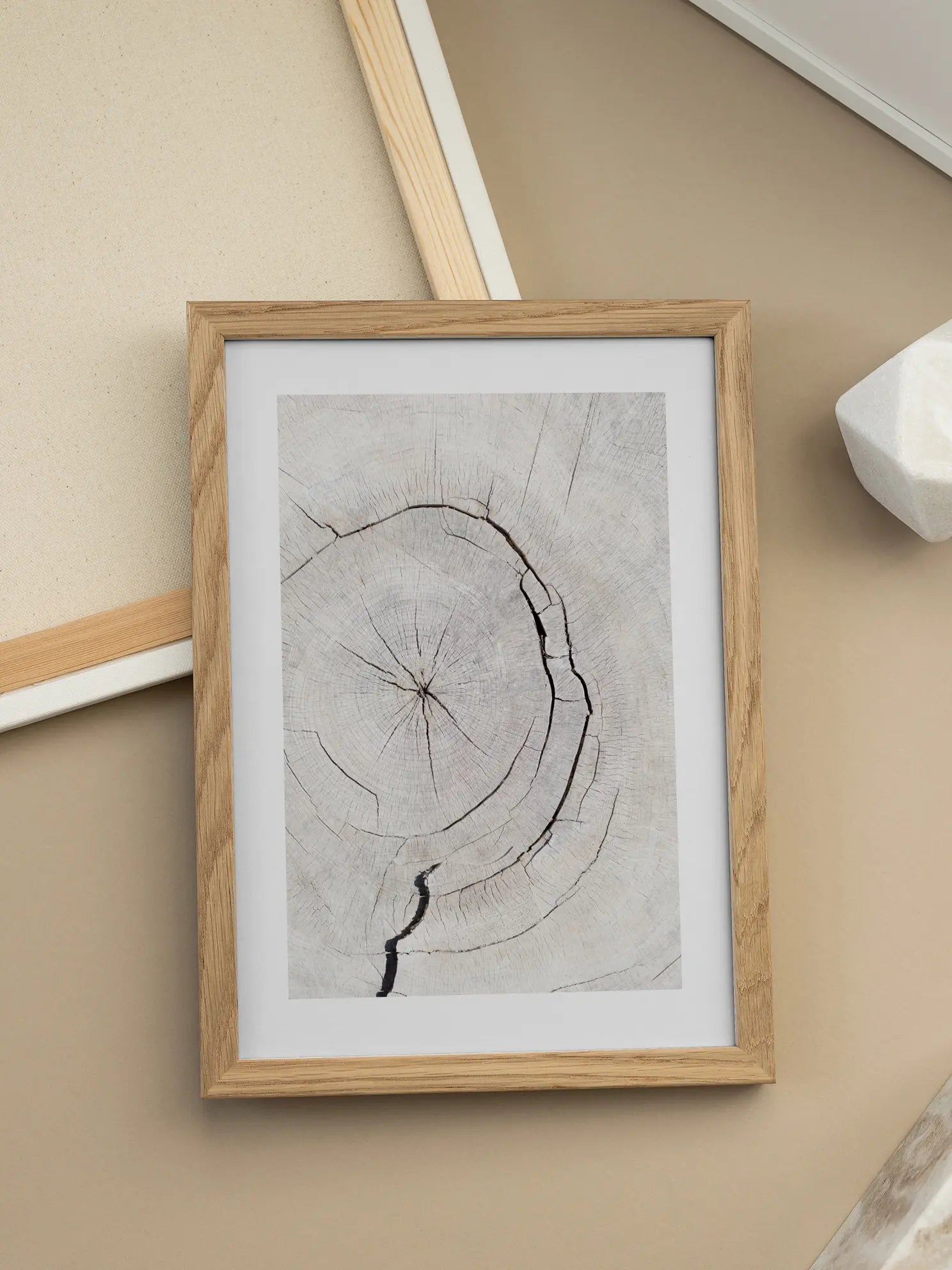 Tree Trunk Close Up Poster