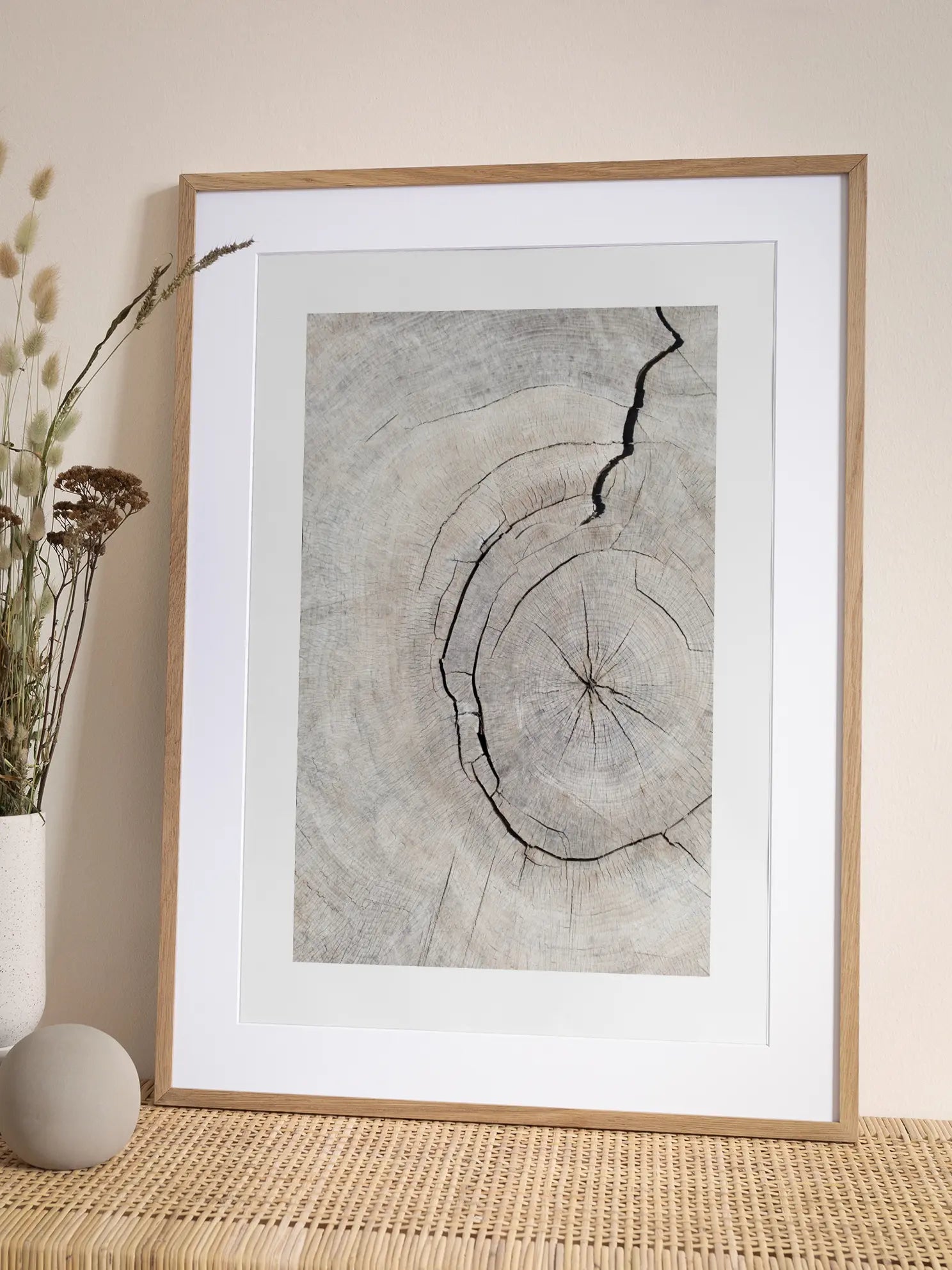 Tree Trunk Poster