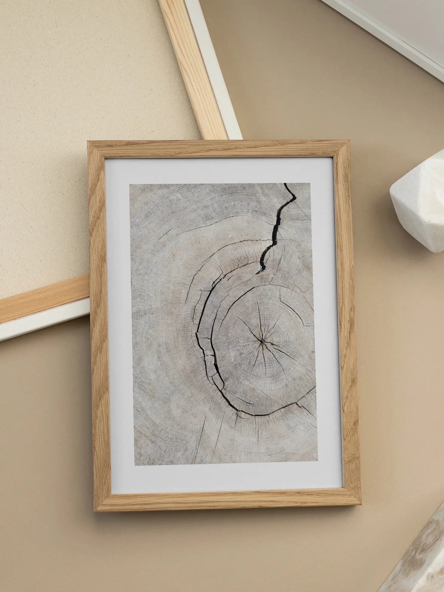 Tree Trunk Poster