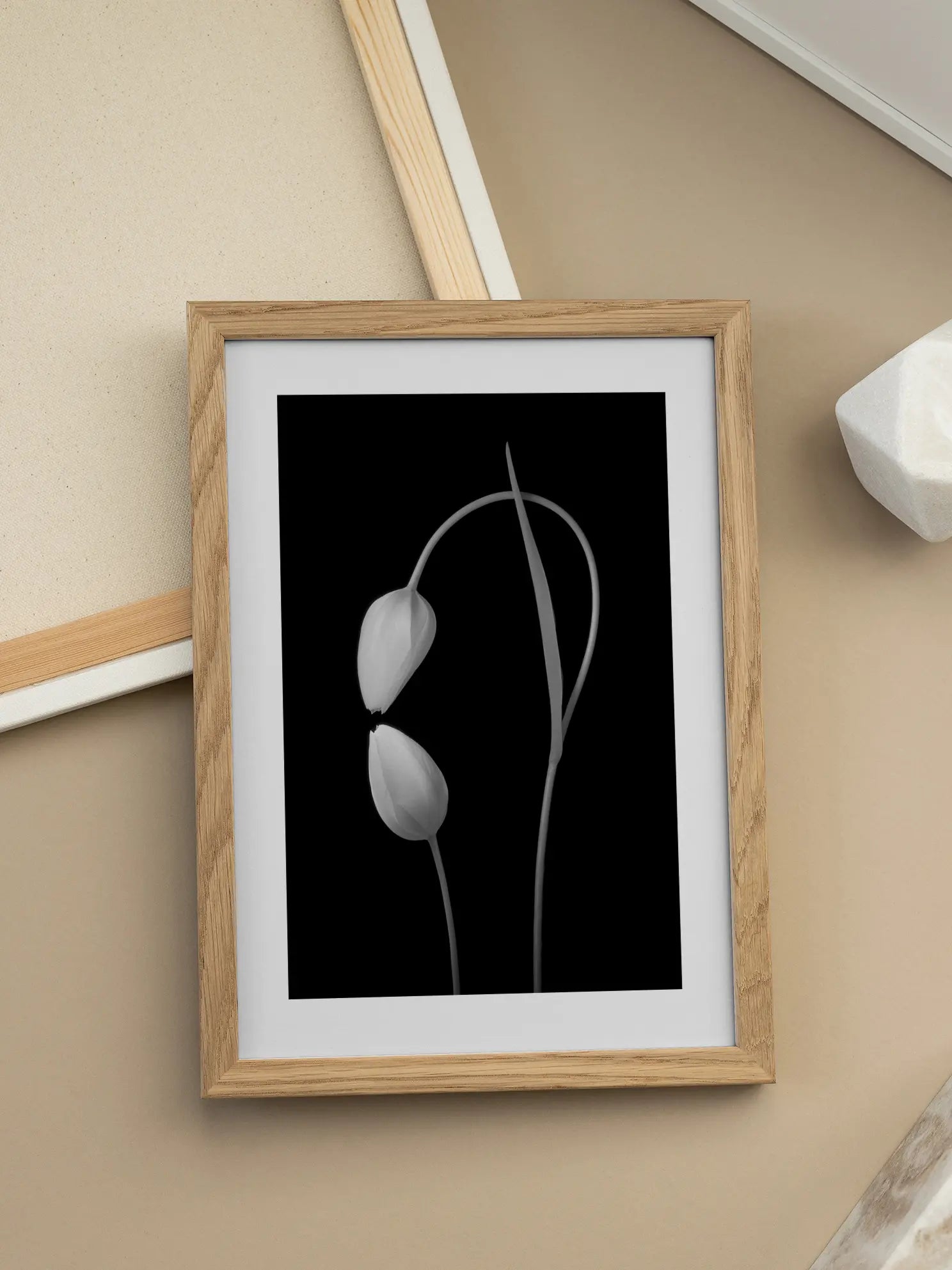 Tulip Love Poster