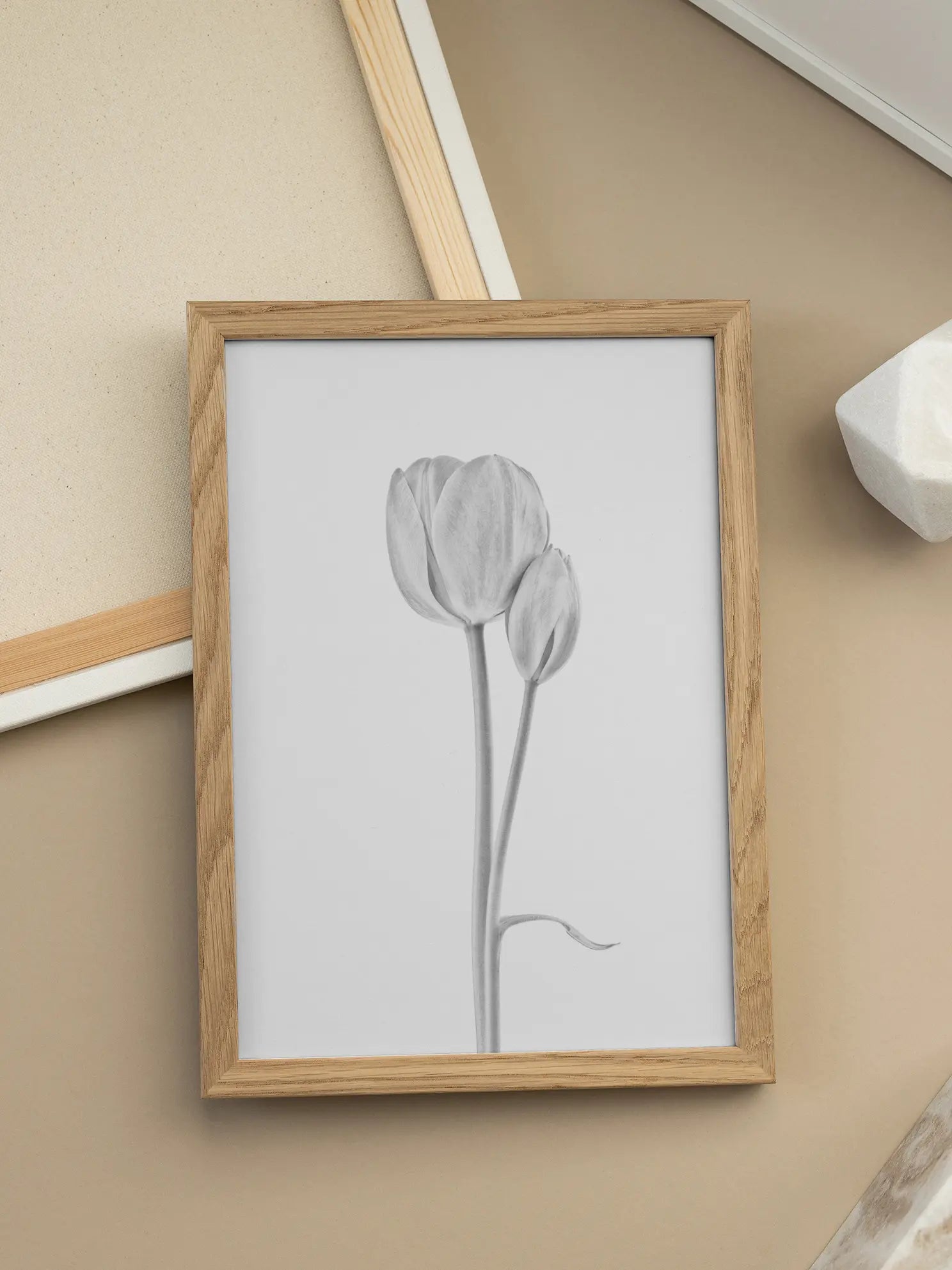 Tulip Pair No1 Poster