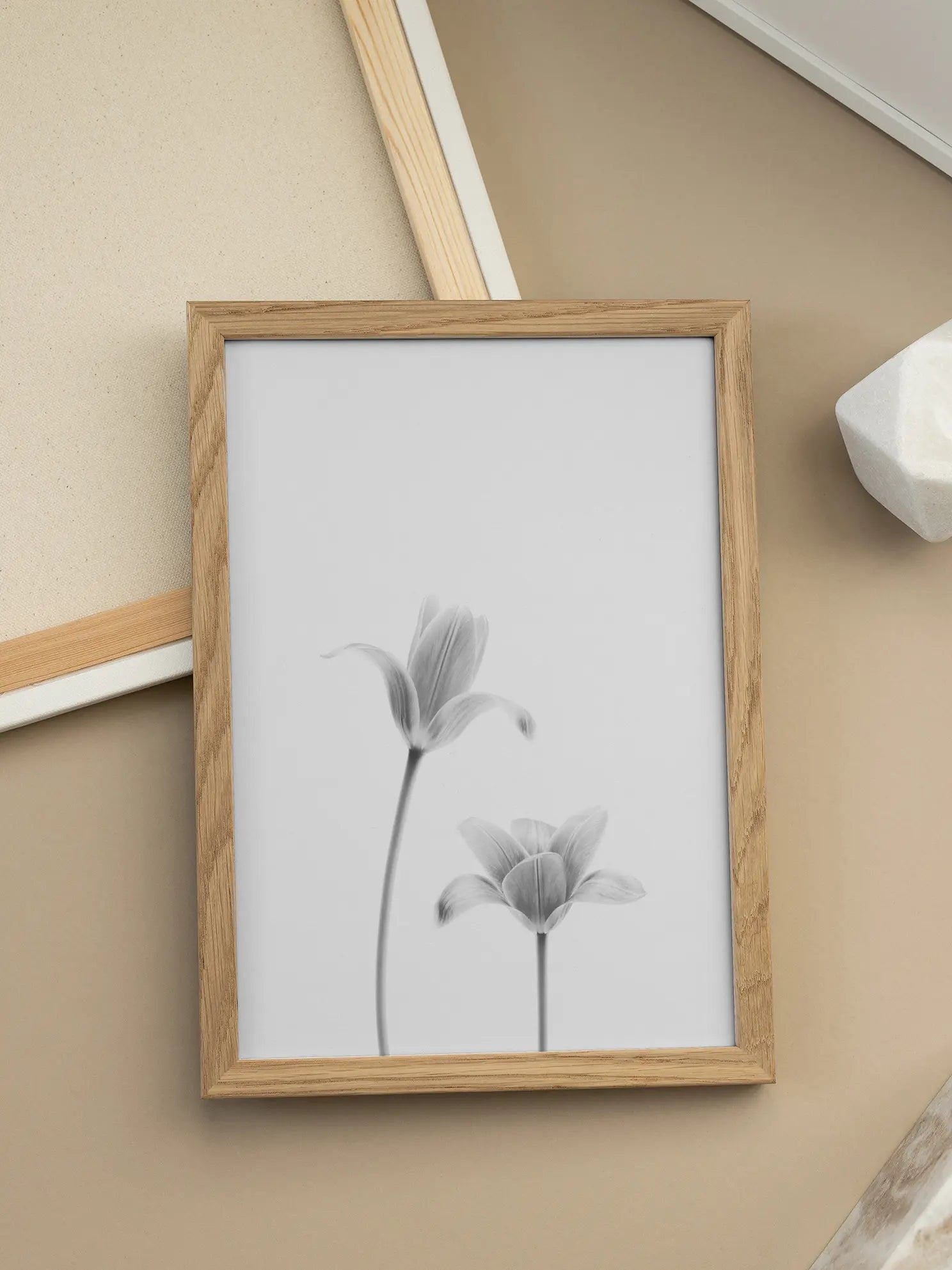 Tulip Pair No2 Poster