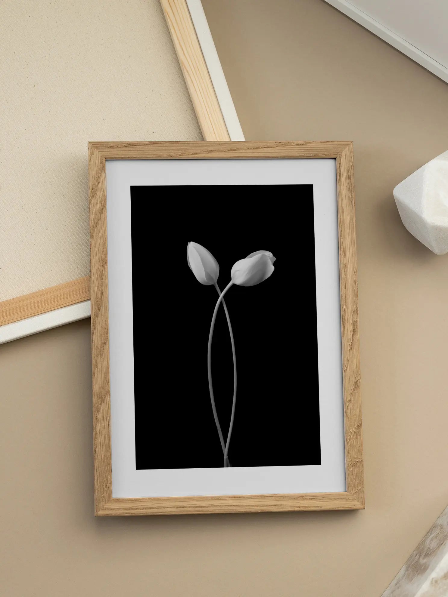 Two Tulips Poster