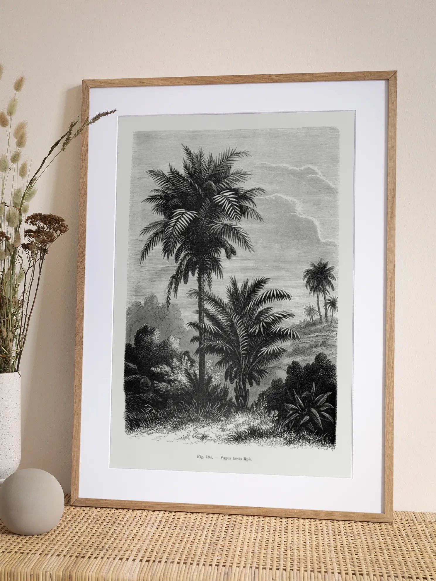 Vintage Palm Illustration Poster