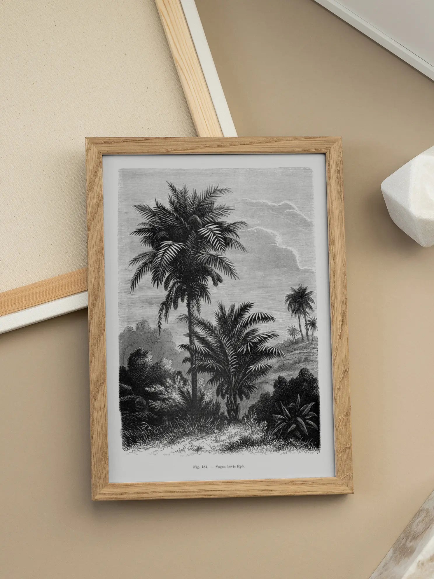 Vintage Palm Illustration Poster