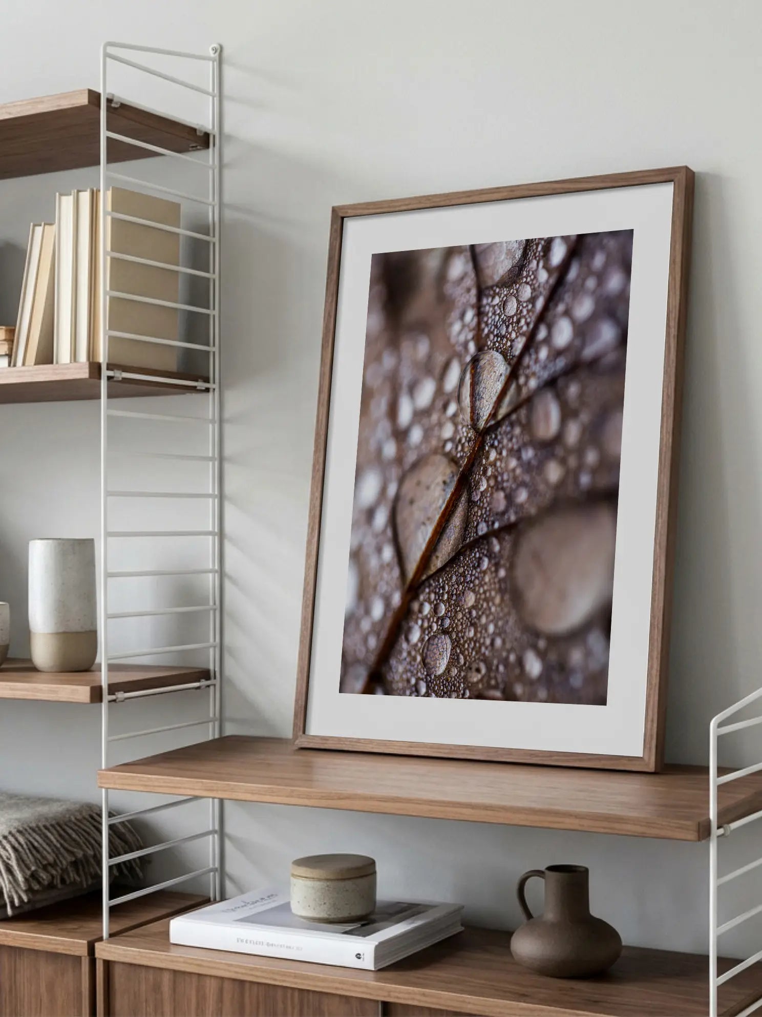 Water Drops on Leaf Poster