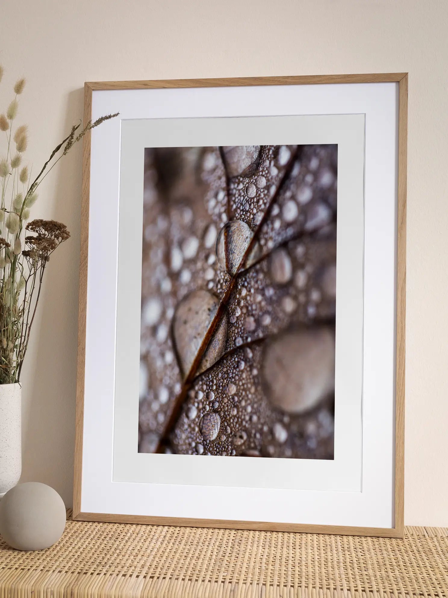 Water Drops on Leaf Poster
