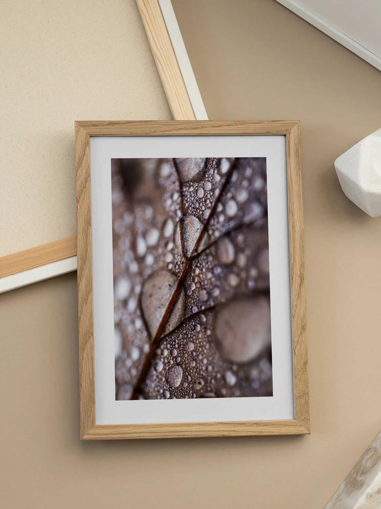 Water Drops on Leaf Poster