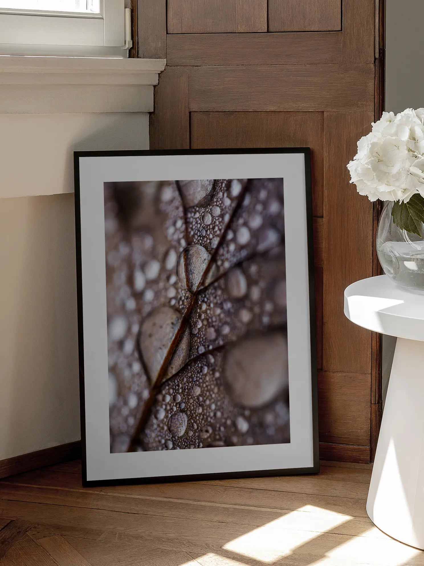 Water Drops on Leaf Poster