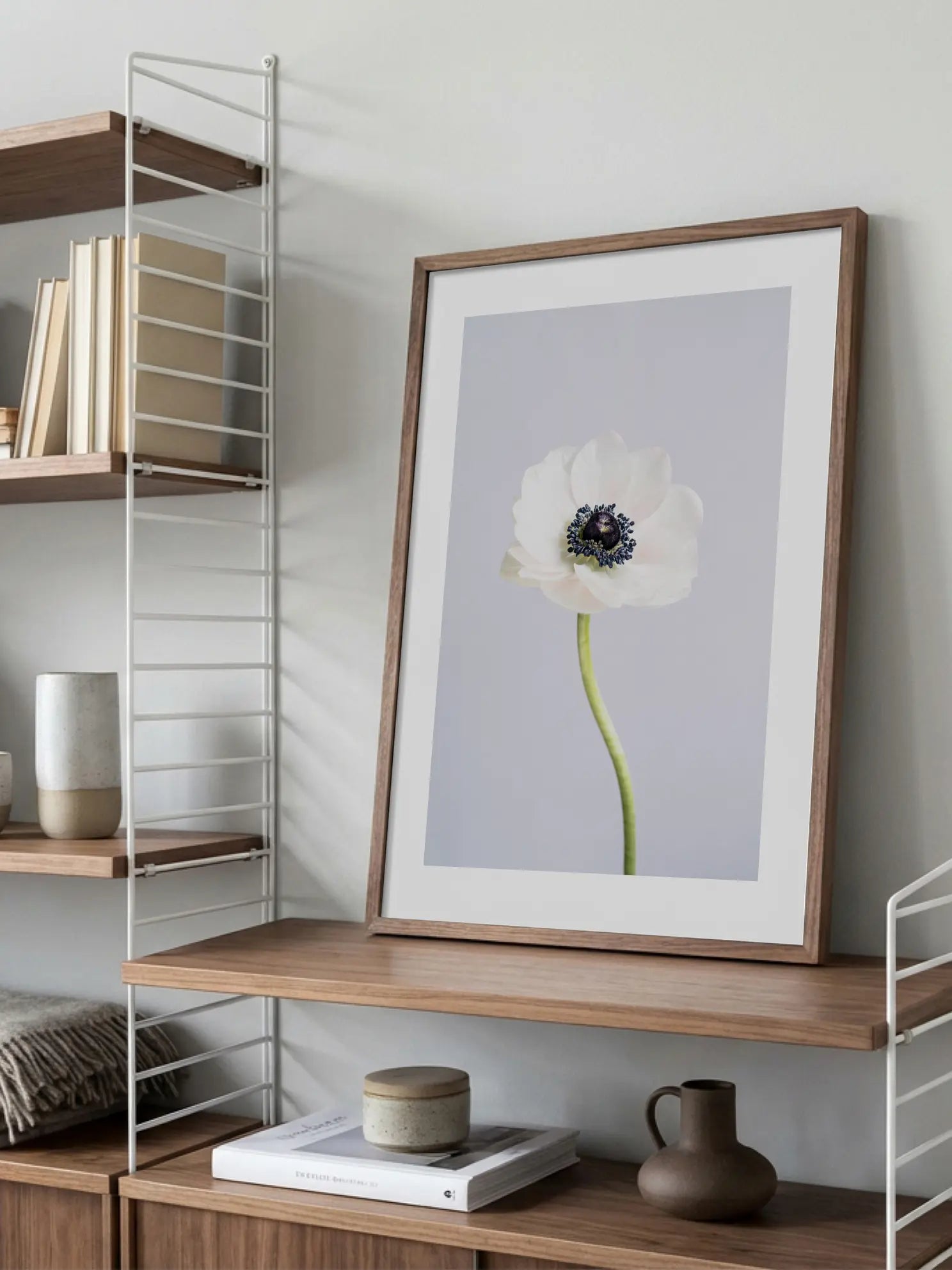 White Anemone Poster