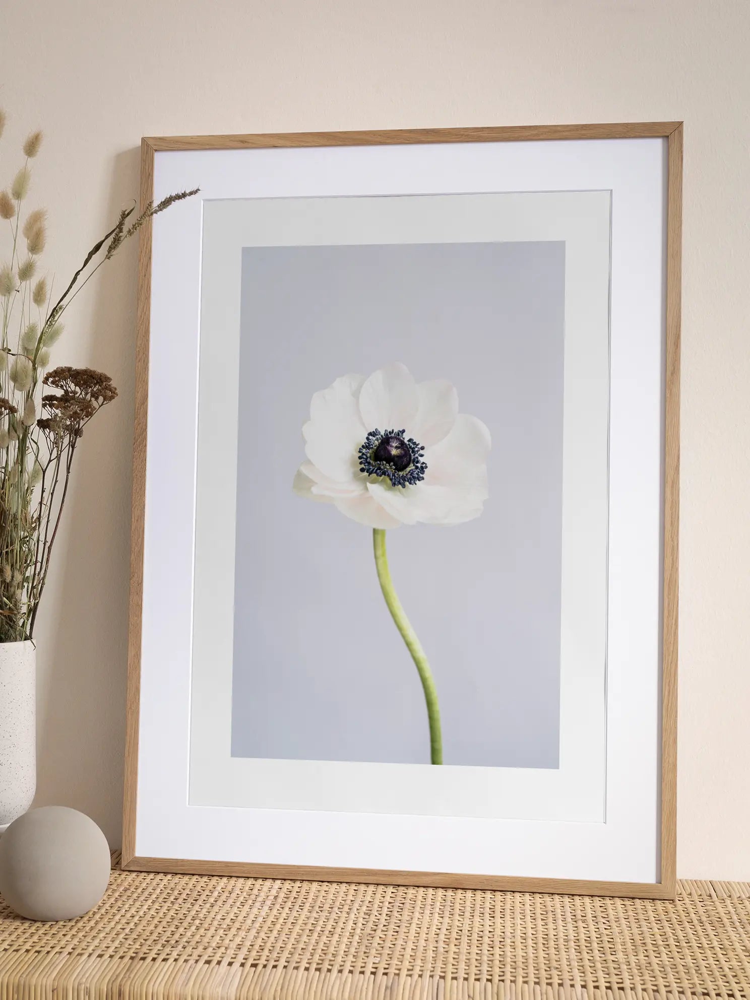 White Anemone Poster