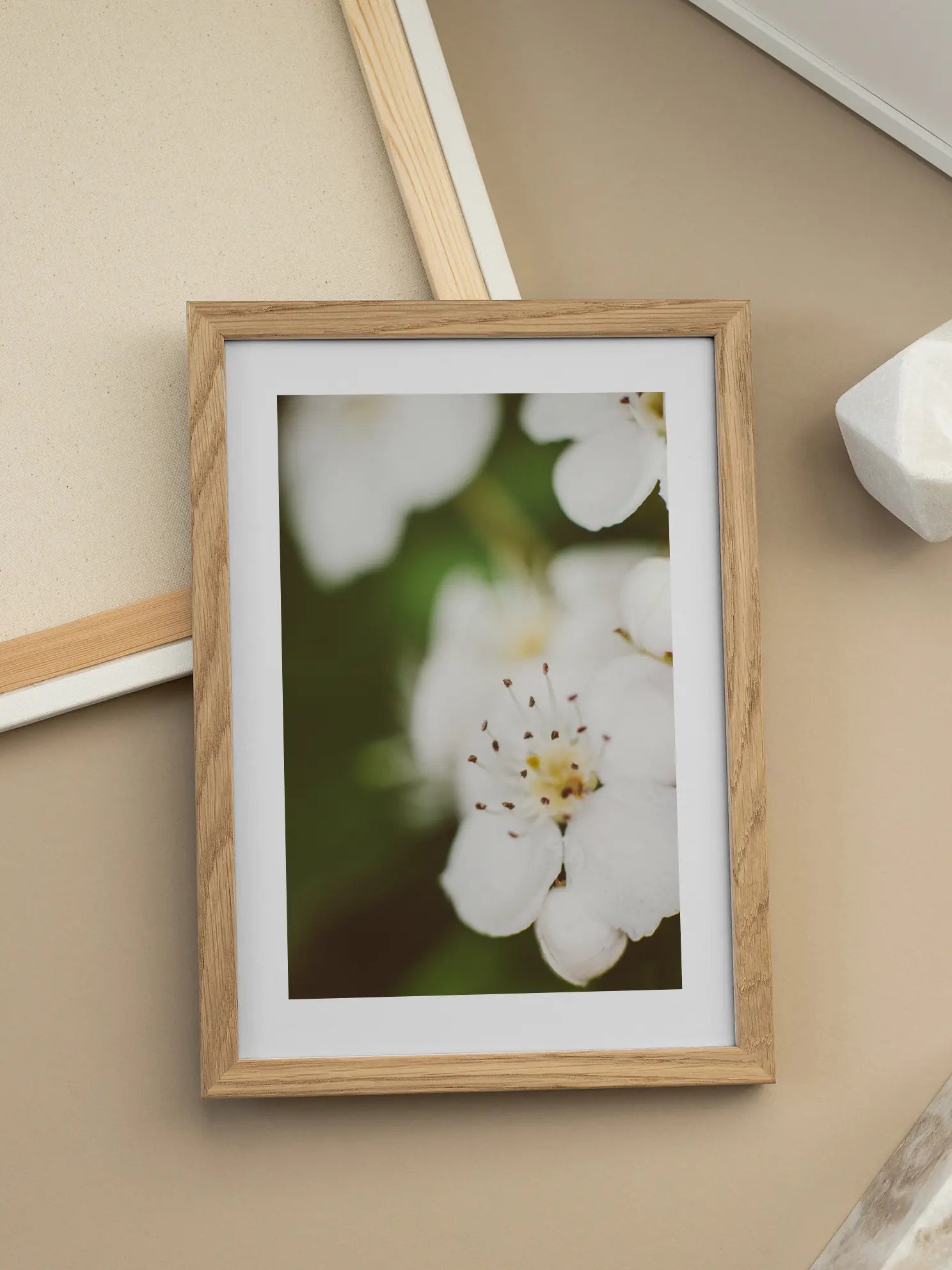 White Blossom Close Up Poster