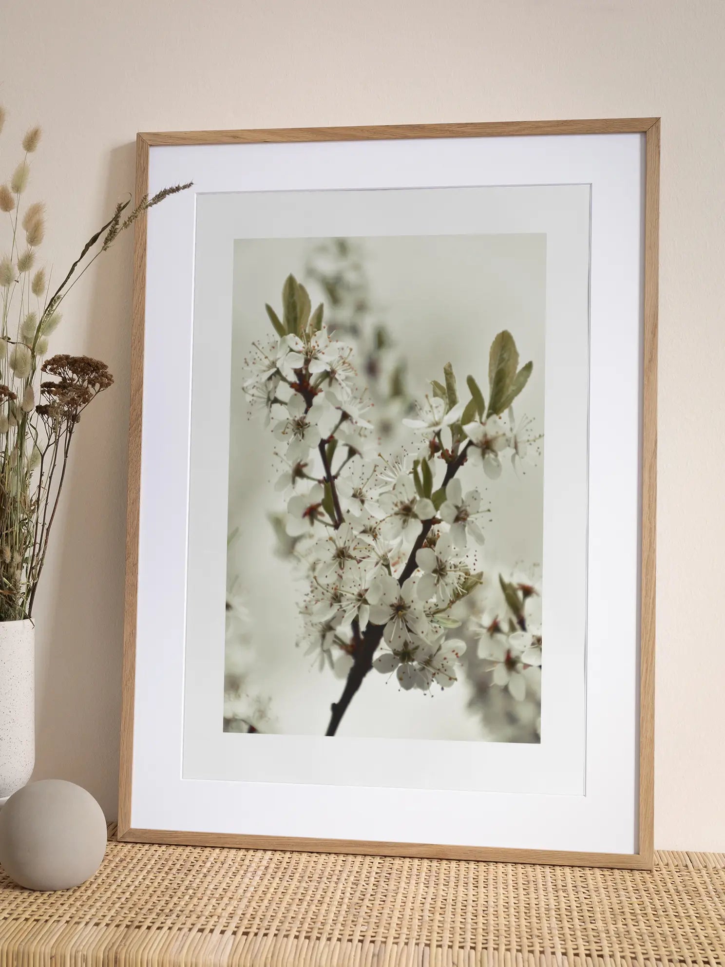 White Blossoming Branch Poster