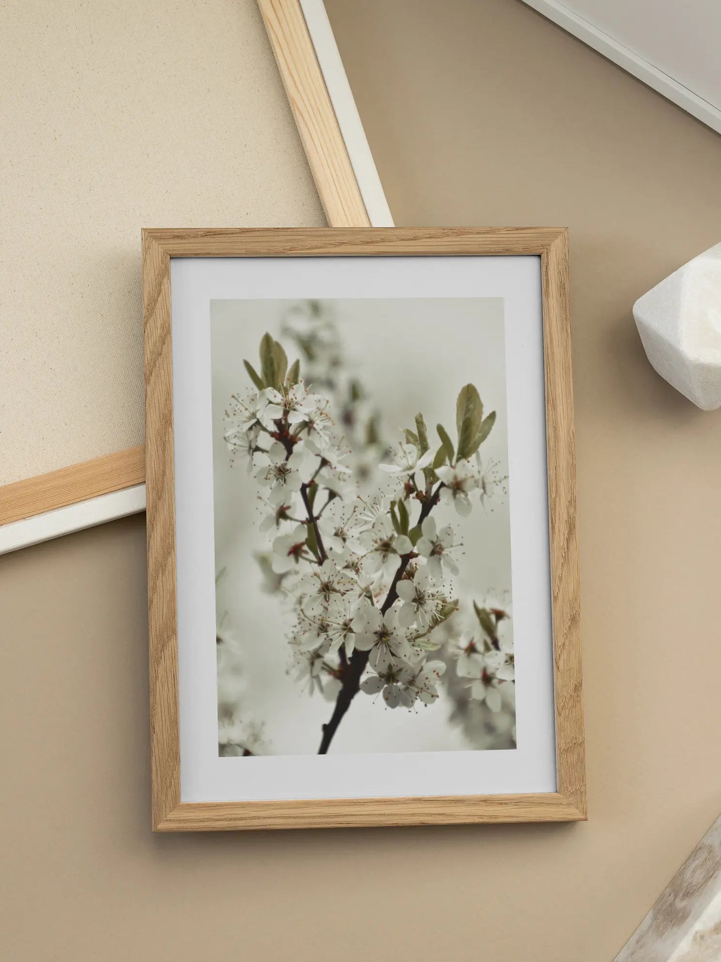 White Blossoming Branch Poster