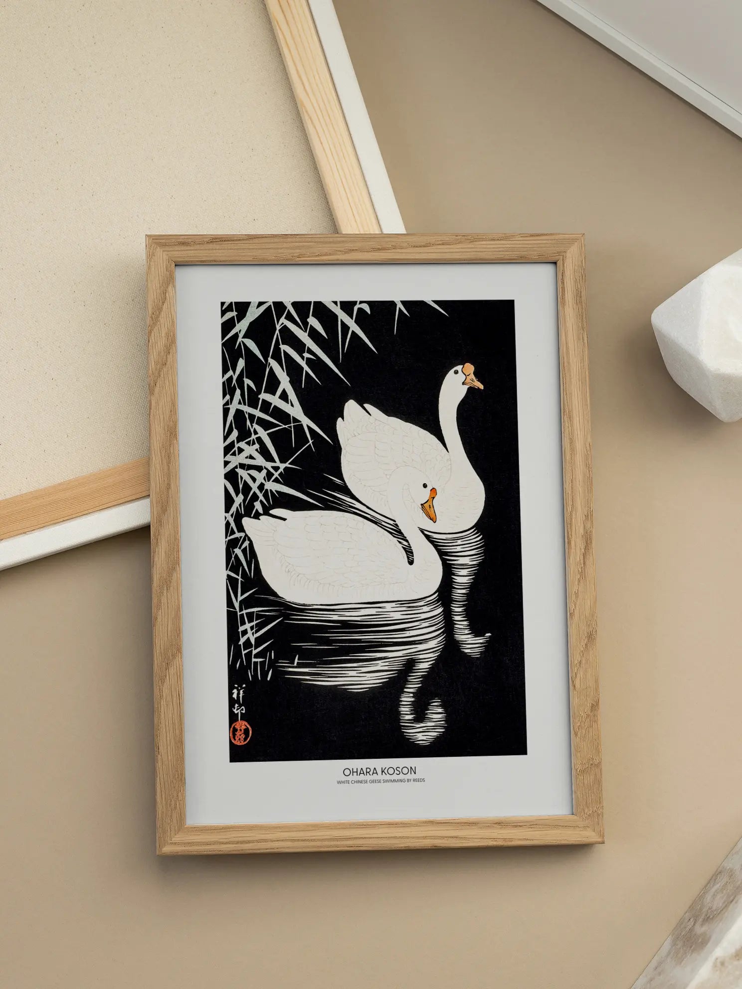 White Chinese Geese Poster