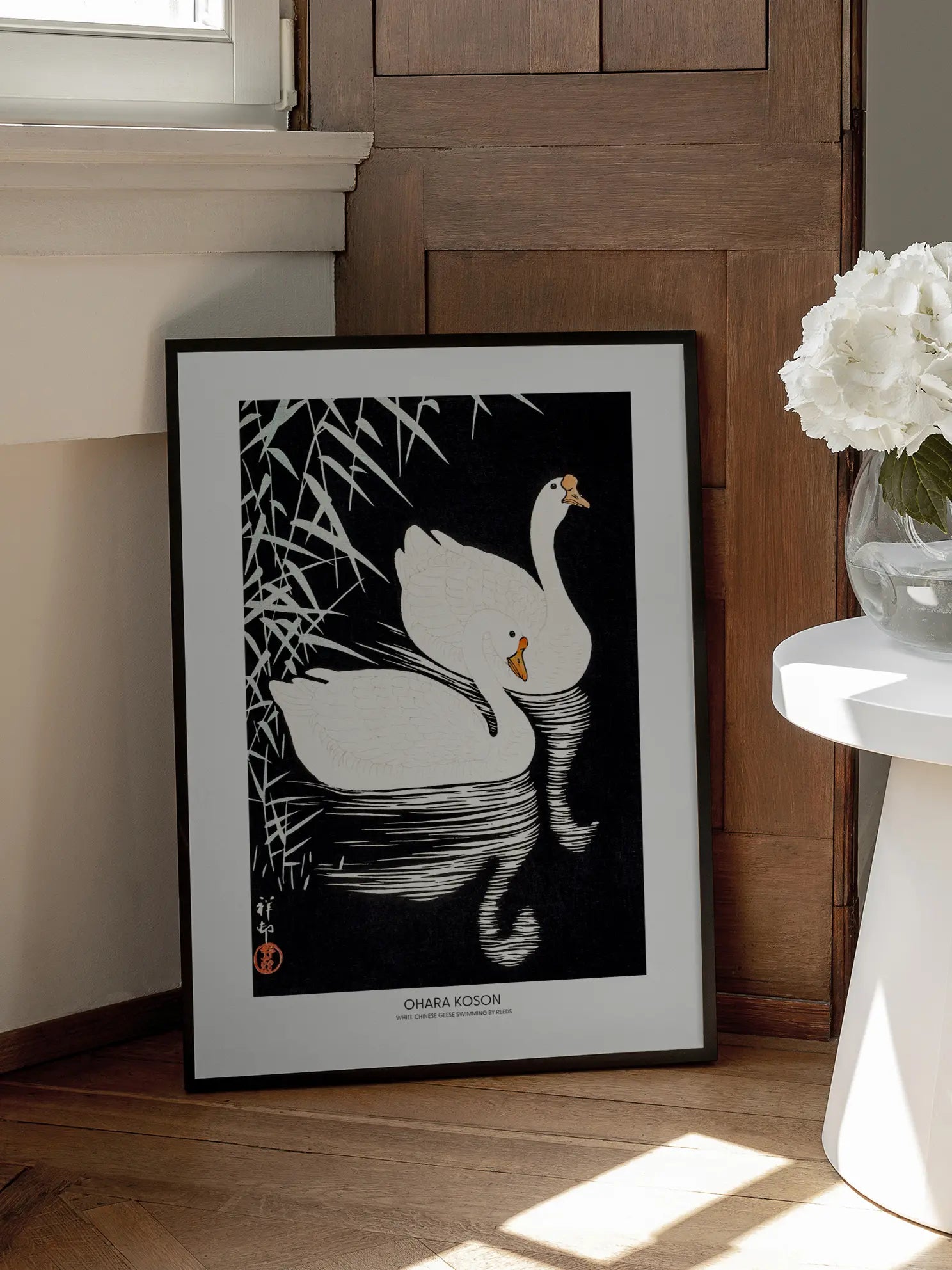 White Chinese Geese Poster