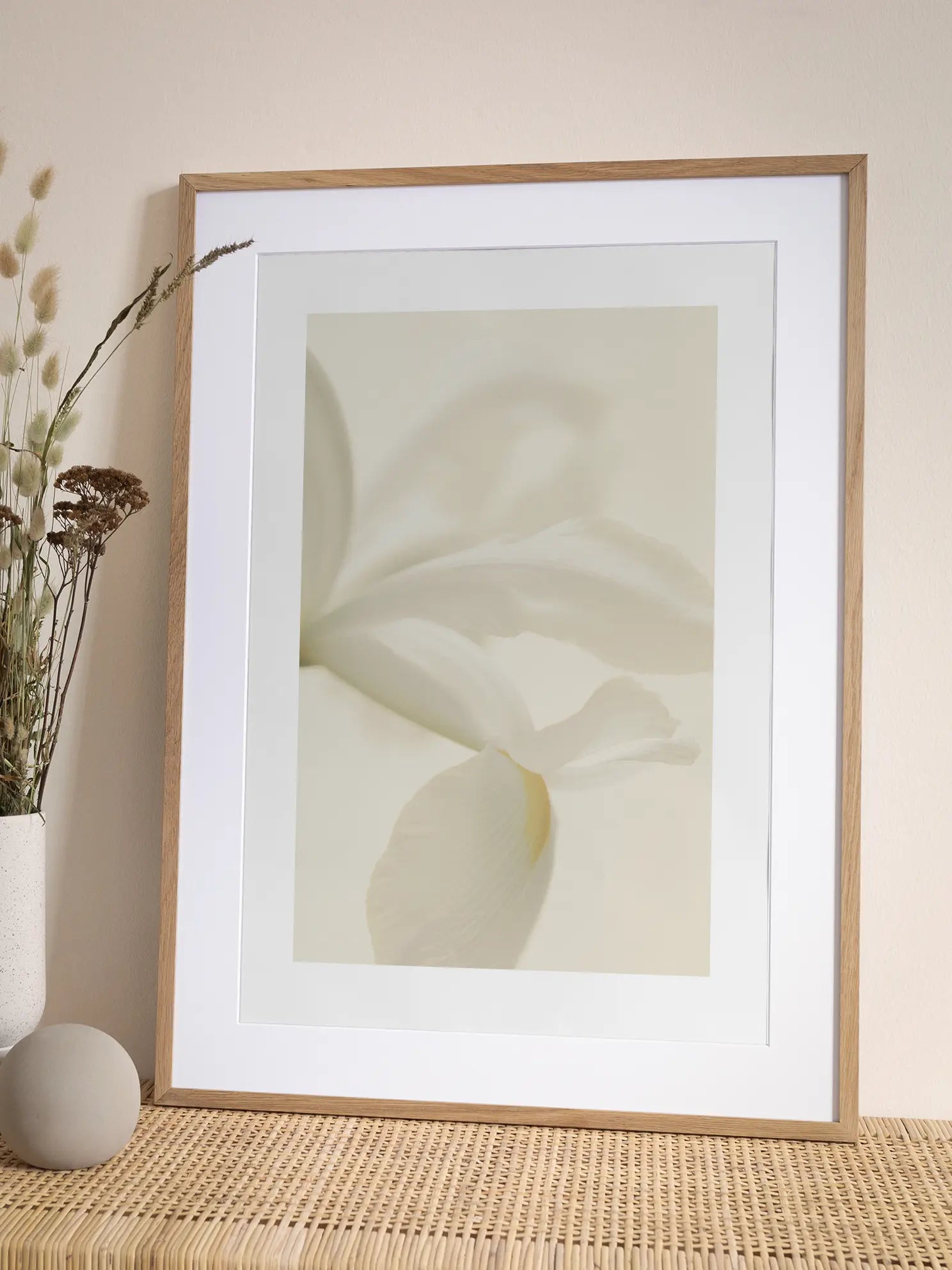 White Flower Petals Poster