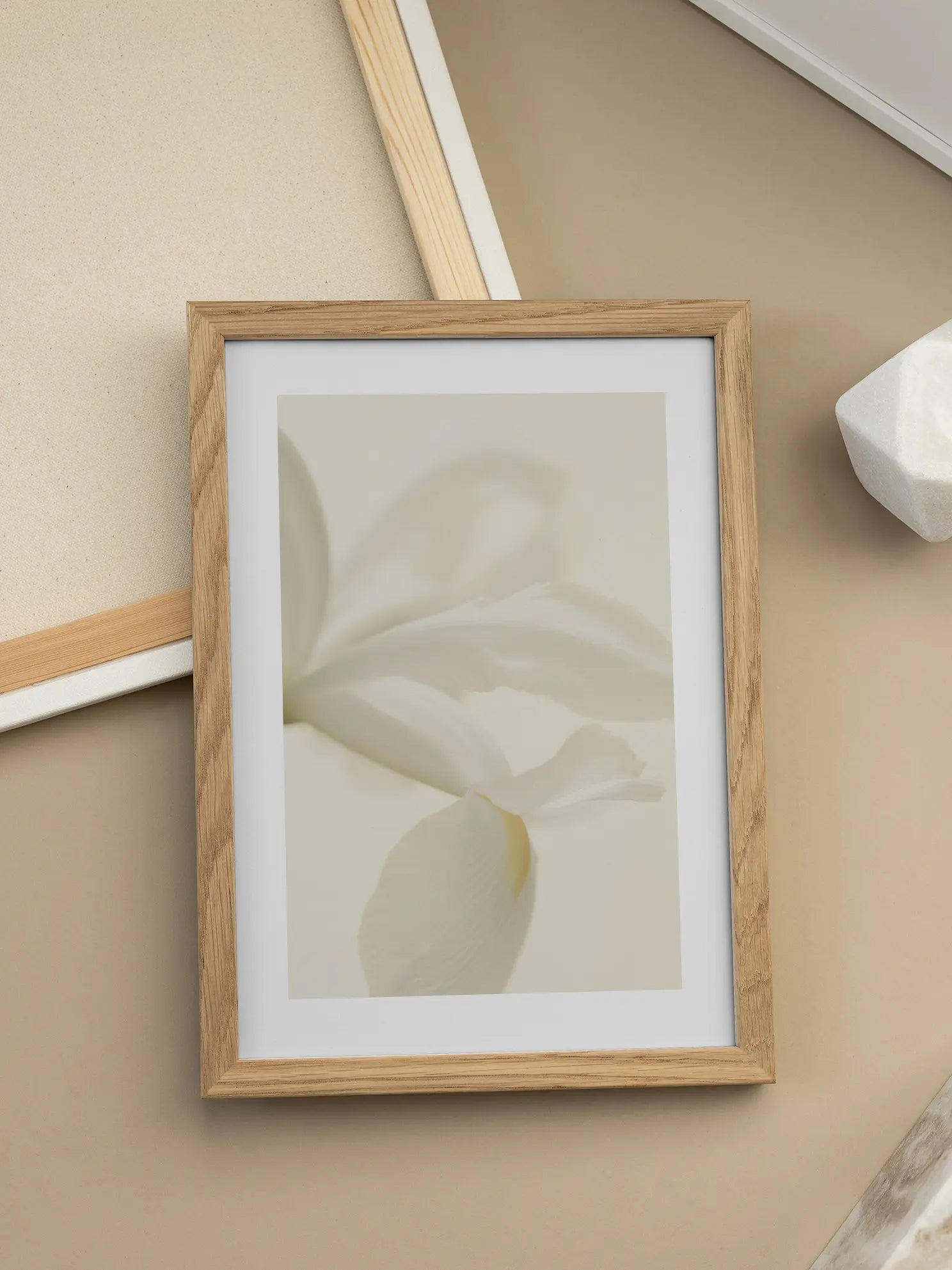White Flower Petals Poster