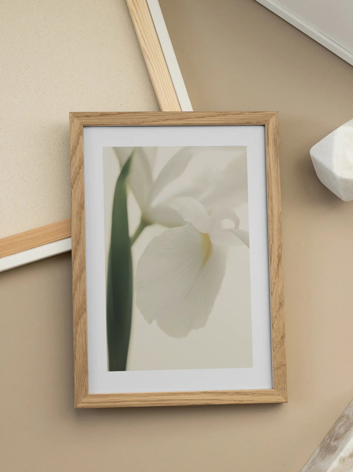 White Iris Poster