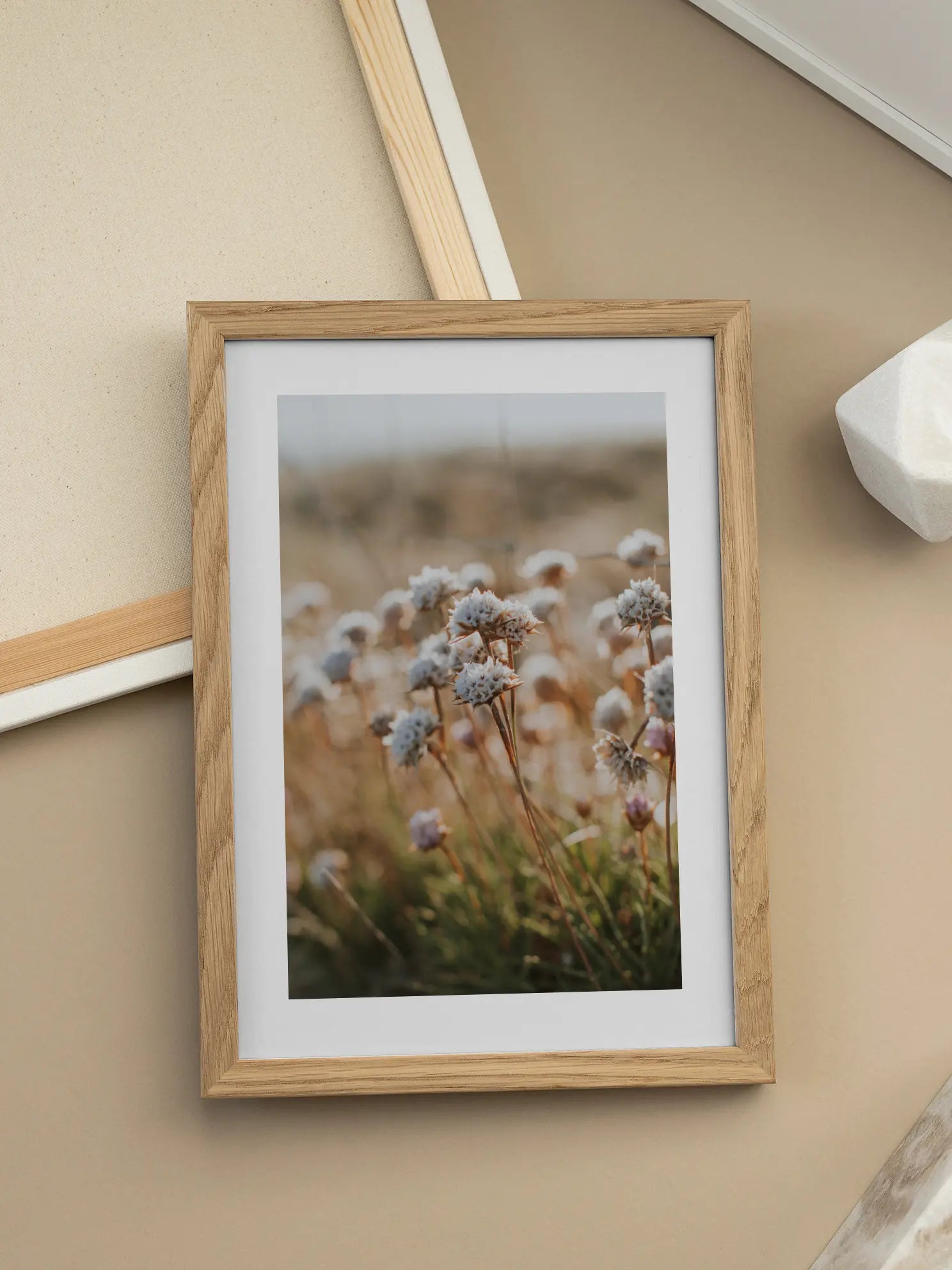 White Meadow Flowers Poster