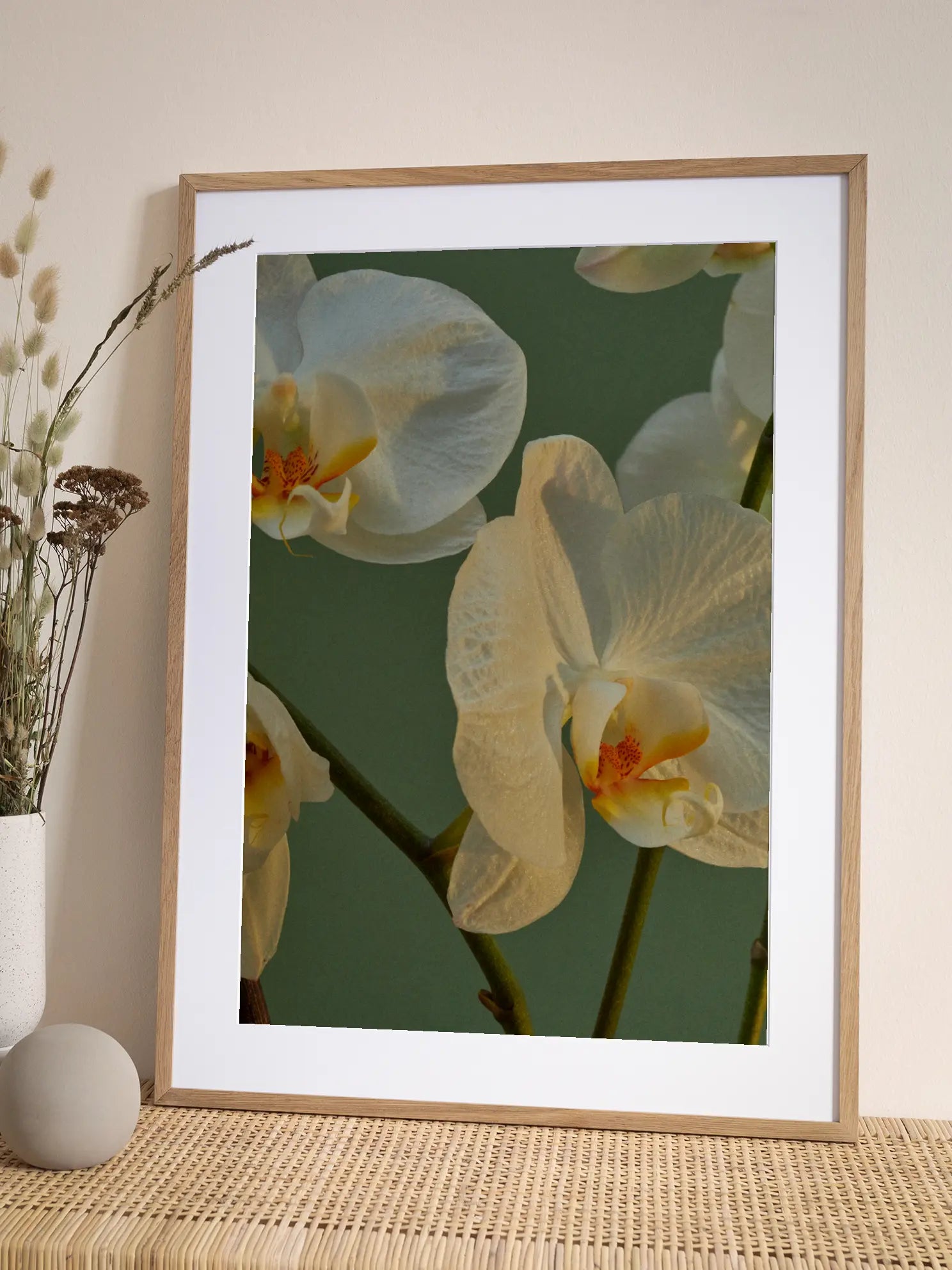 White Orchids Poster