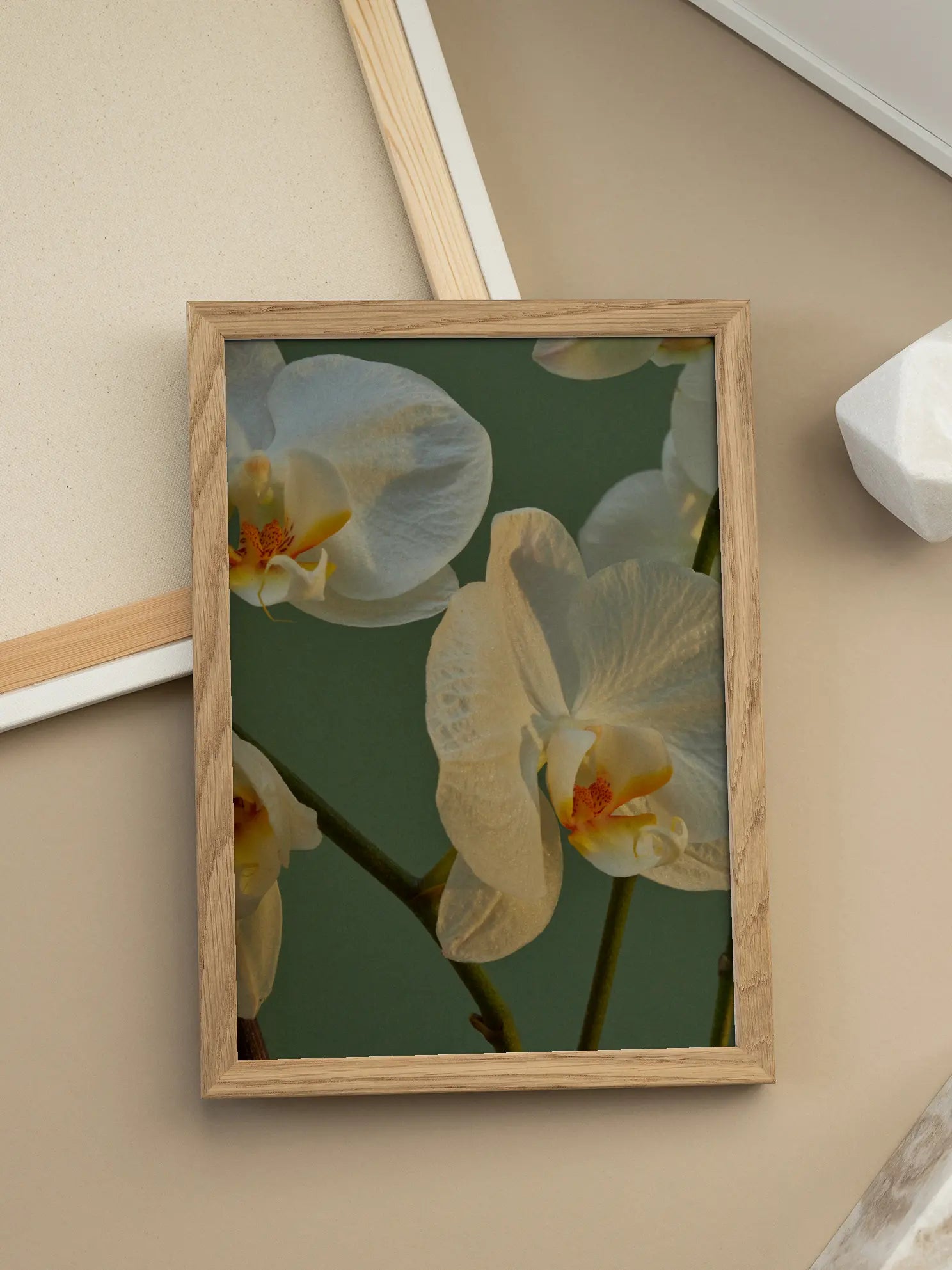 White Orchids Poster