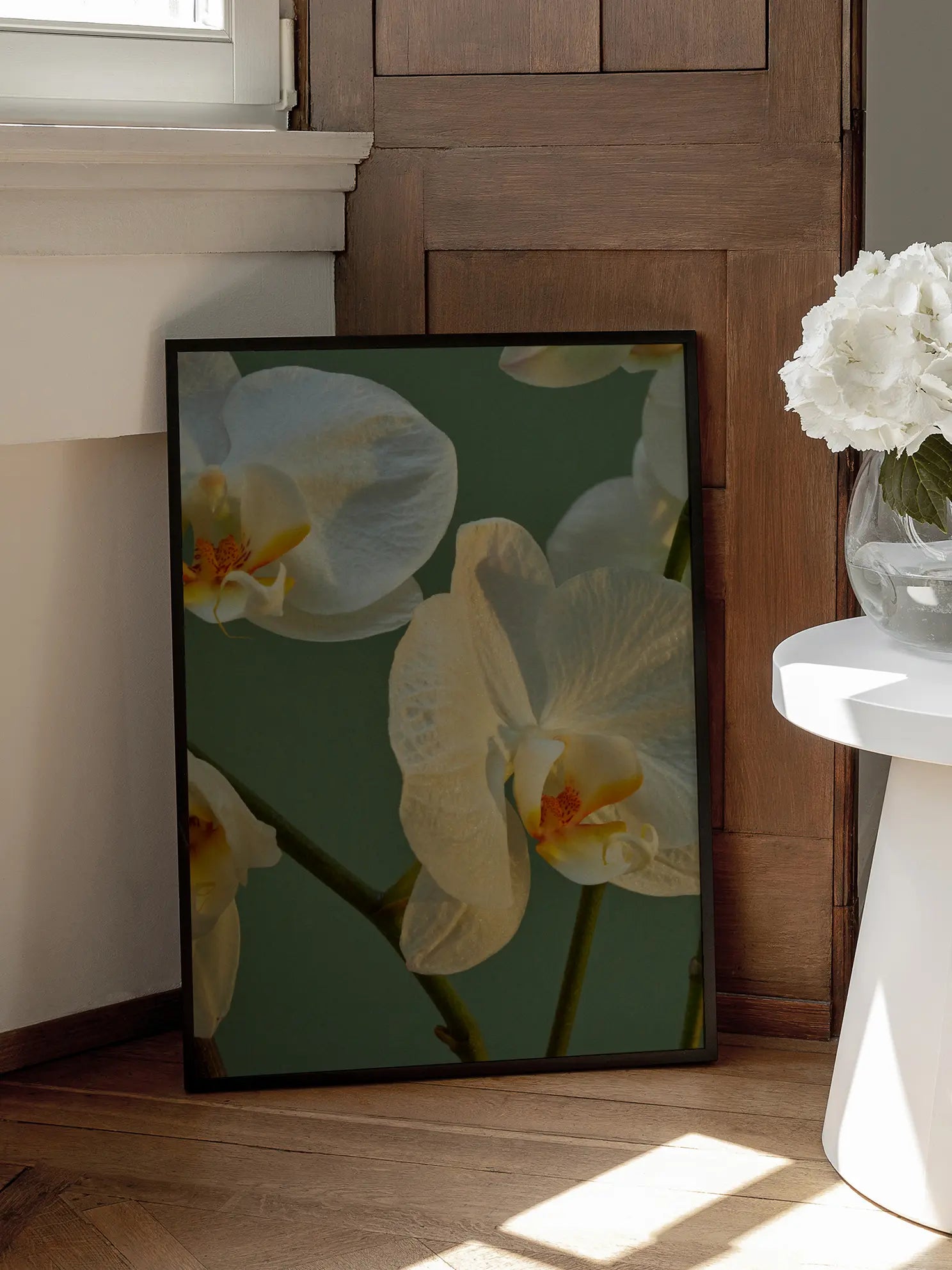 White Orchids Poster