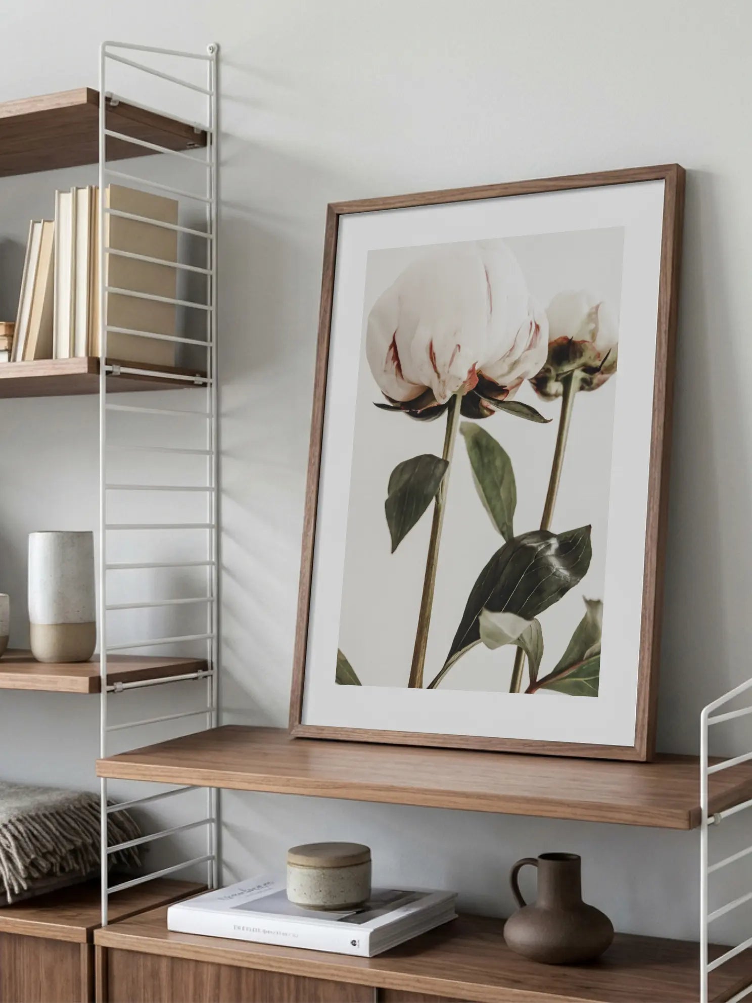 White Peonies Poster