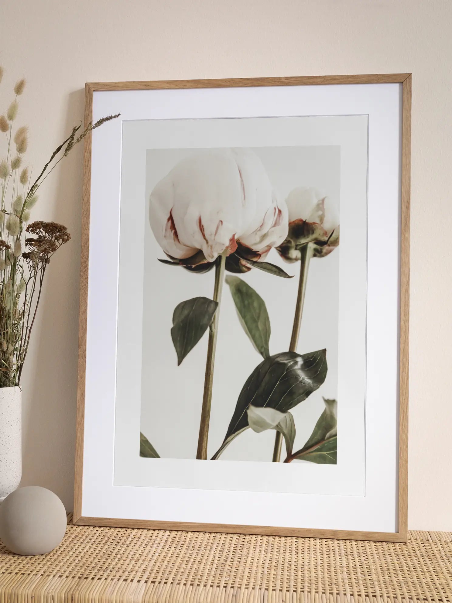White Peonies Poster