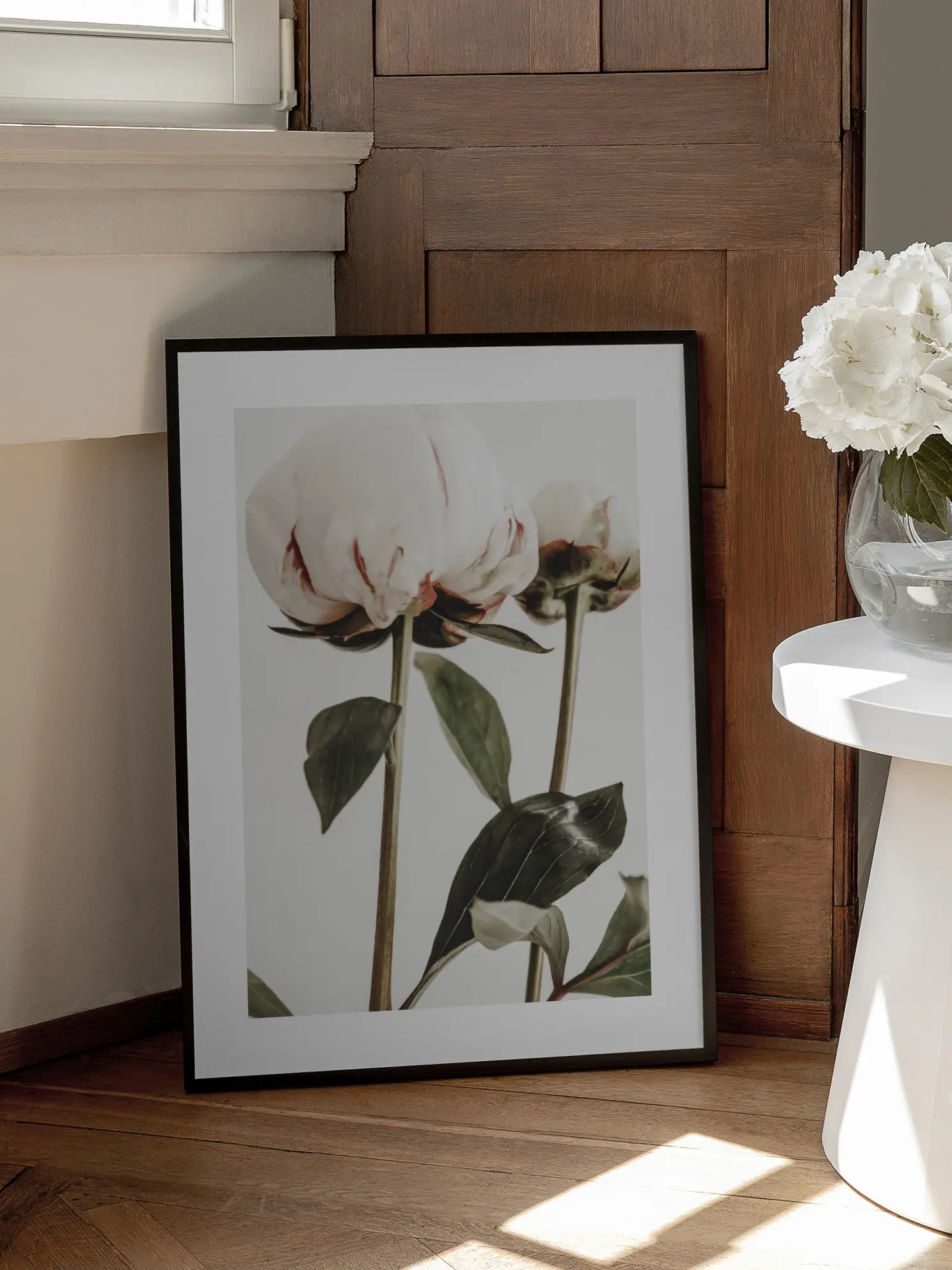 White Peonies Poster