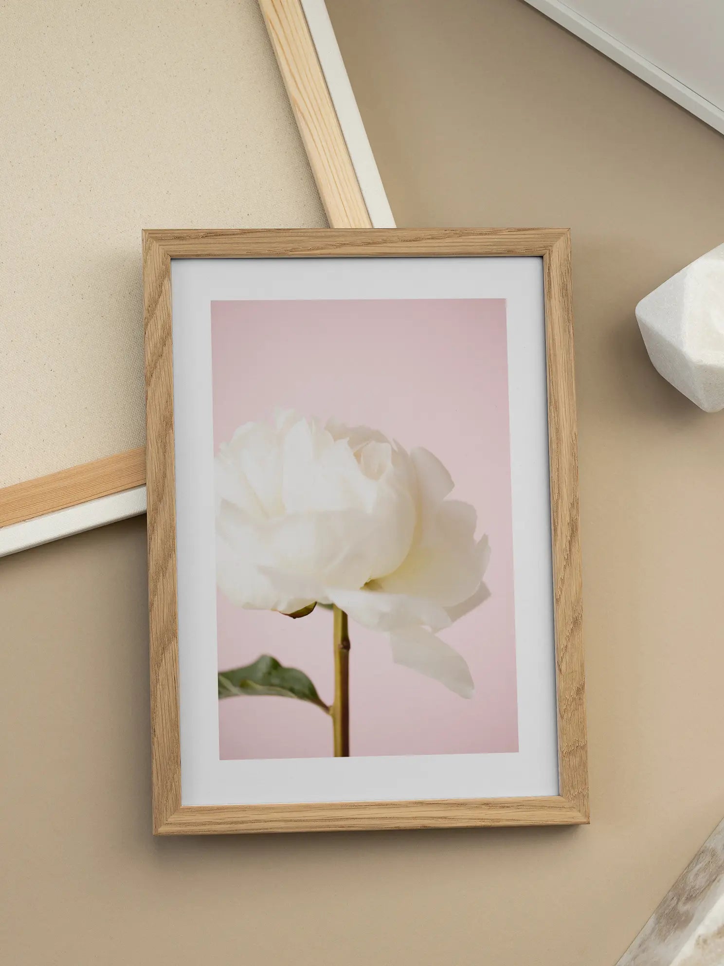 White Peony Poster