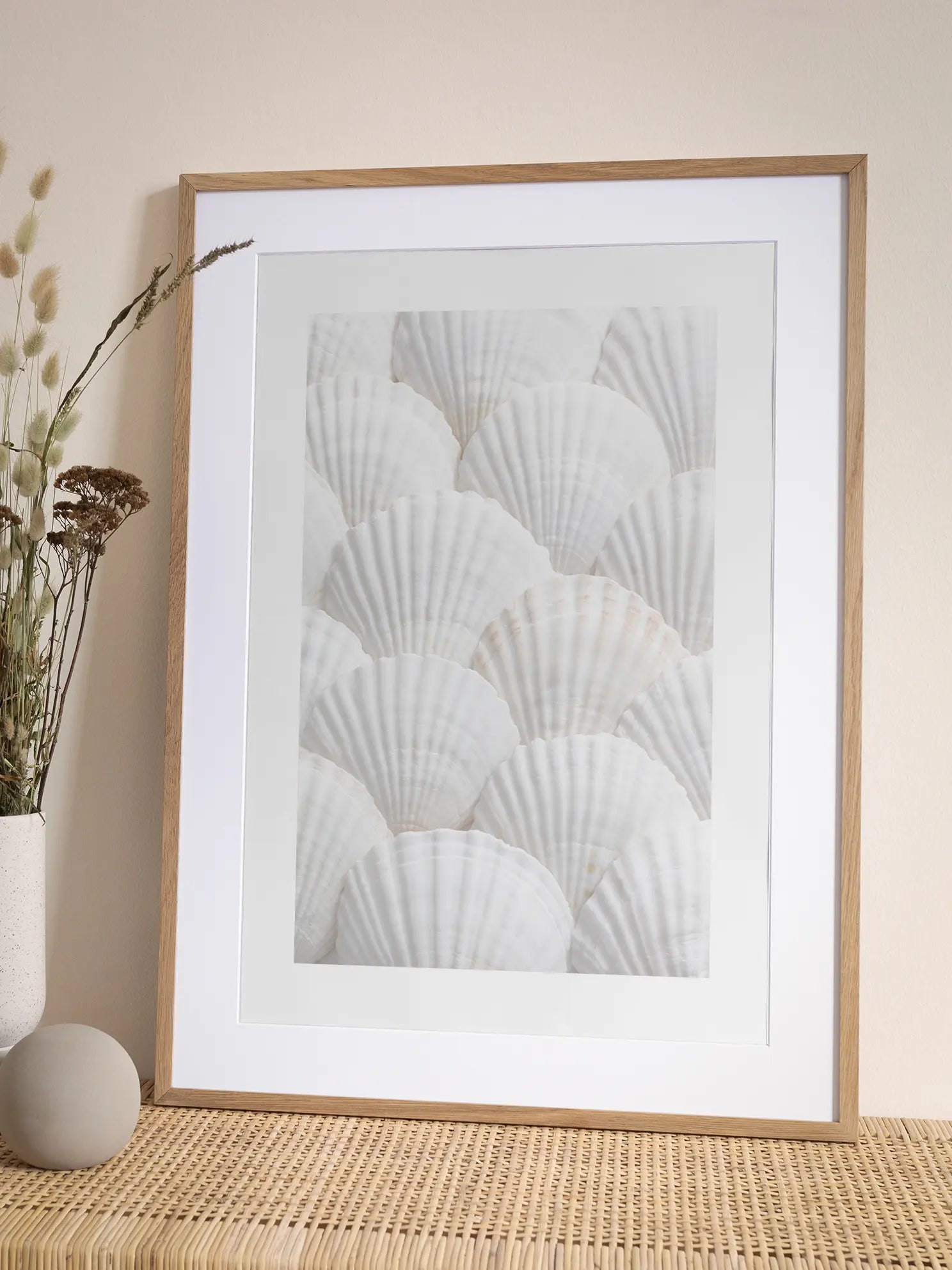 White Shells Poster