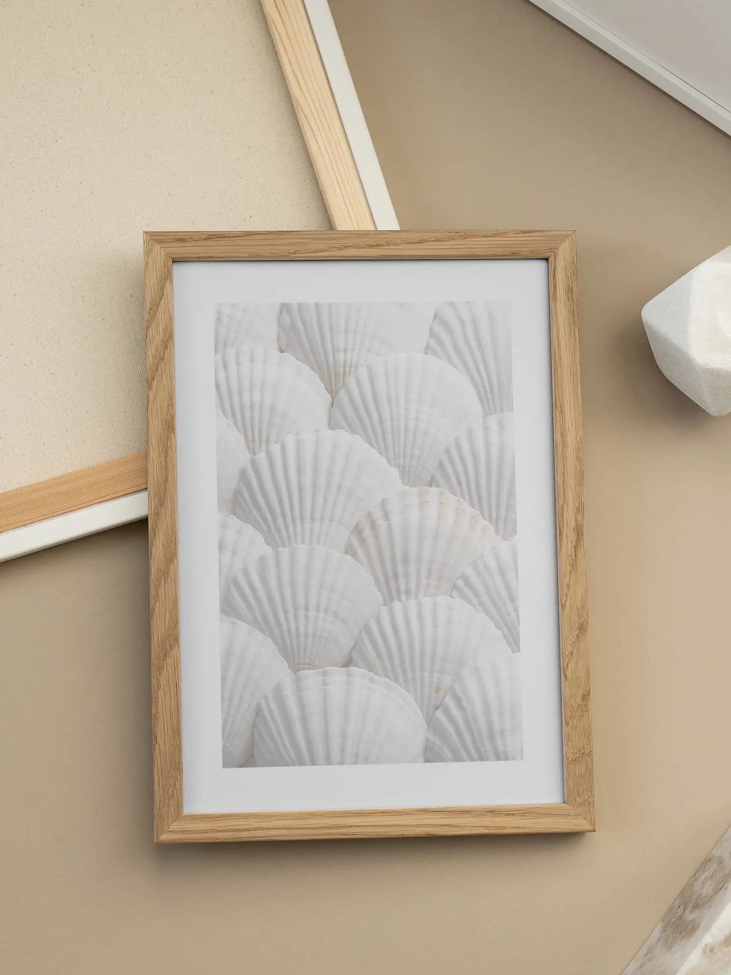 White Shells Poster