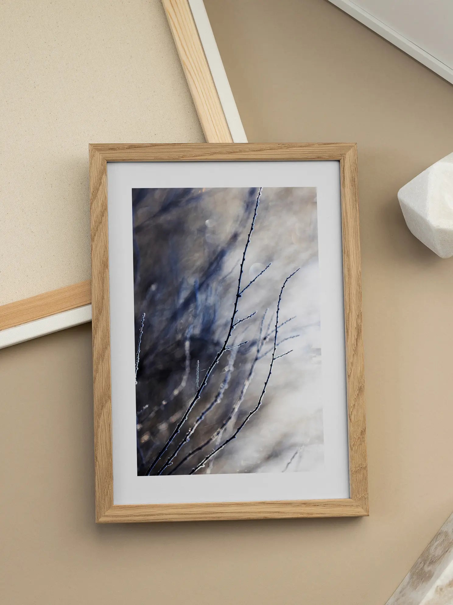 Winter Branches Poster