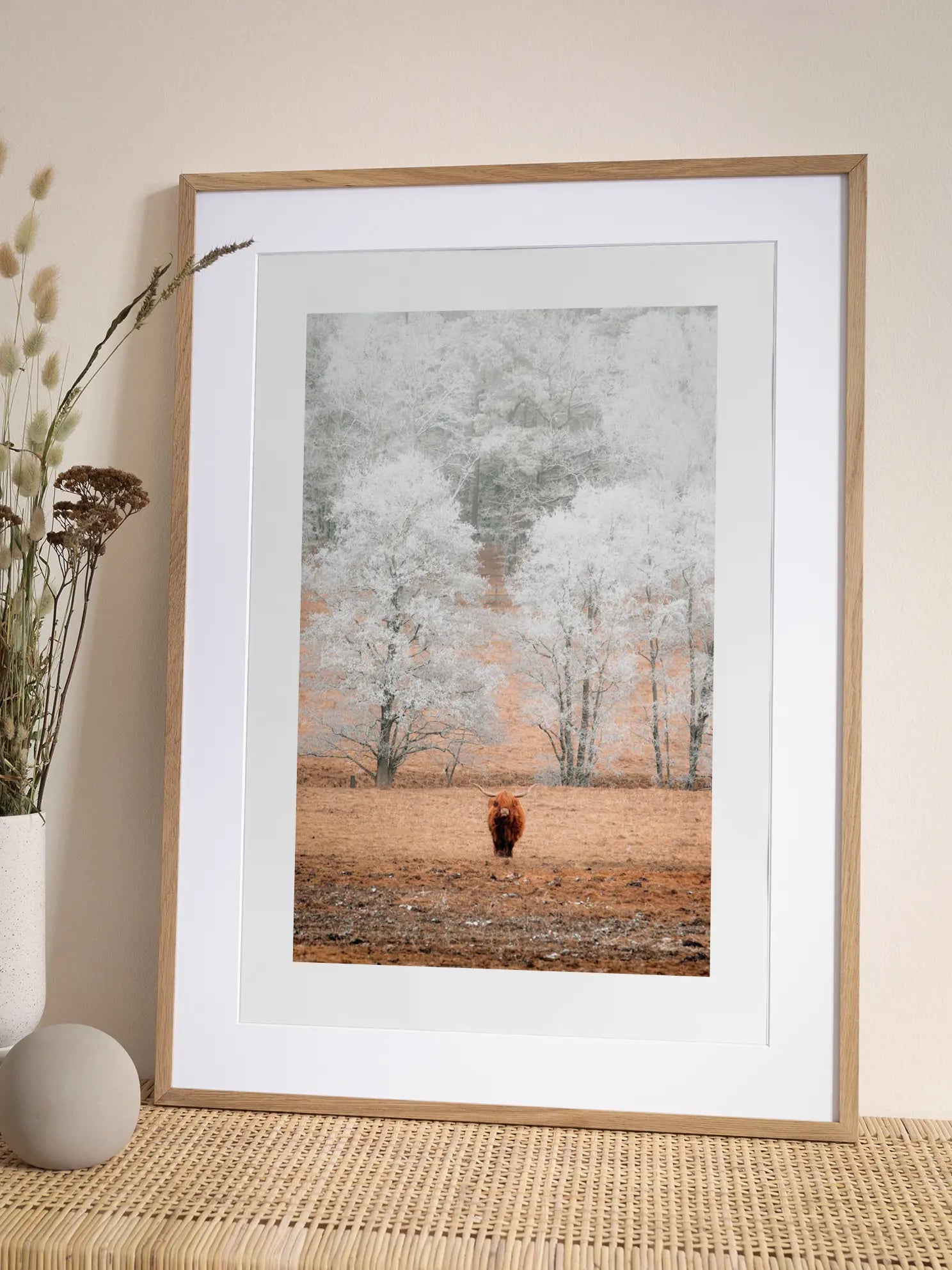 Winter Highland Cow Poster