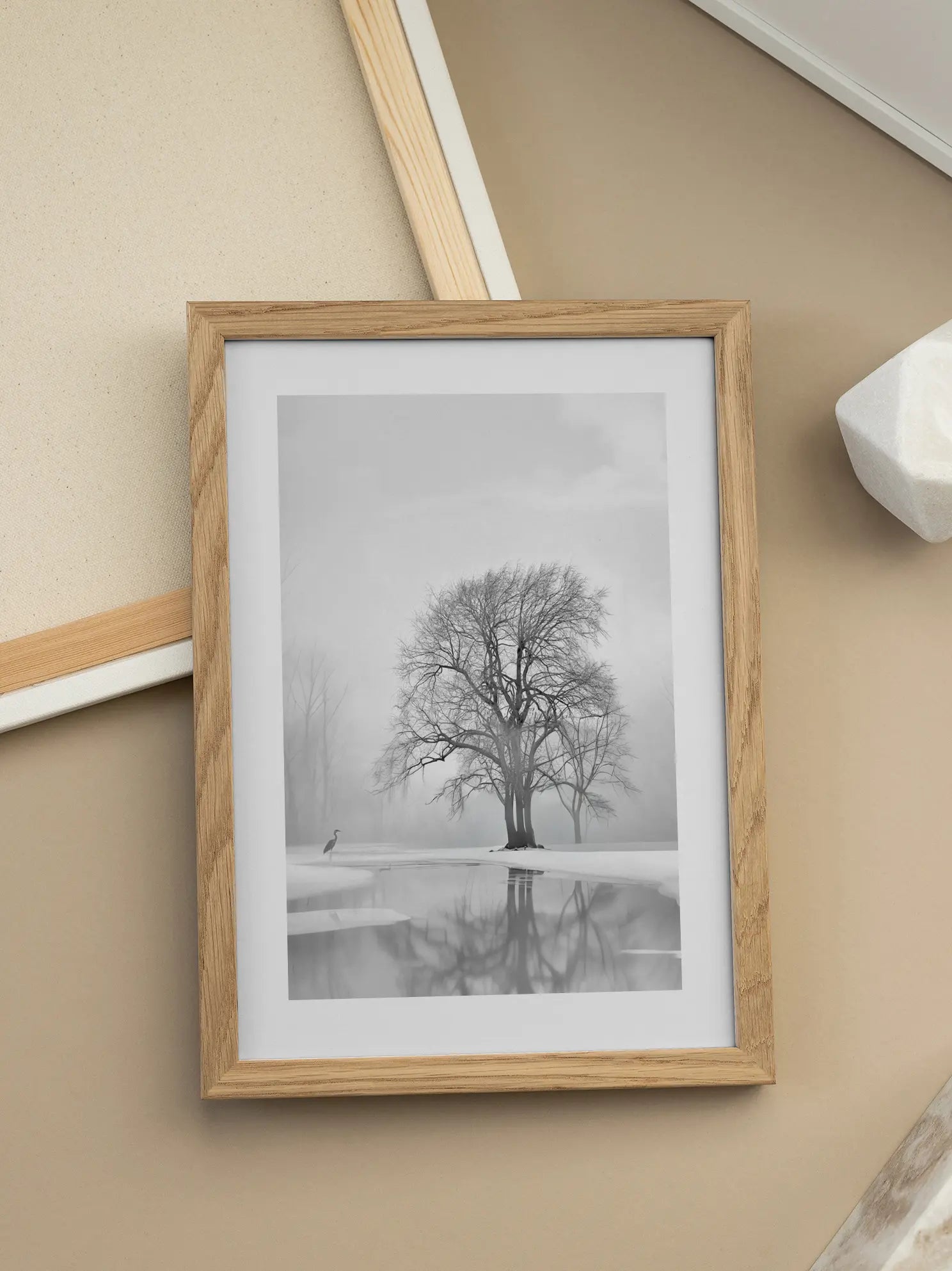 Winter Reflection Poster