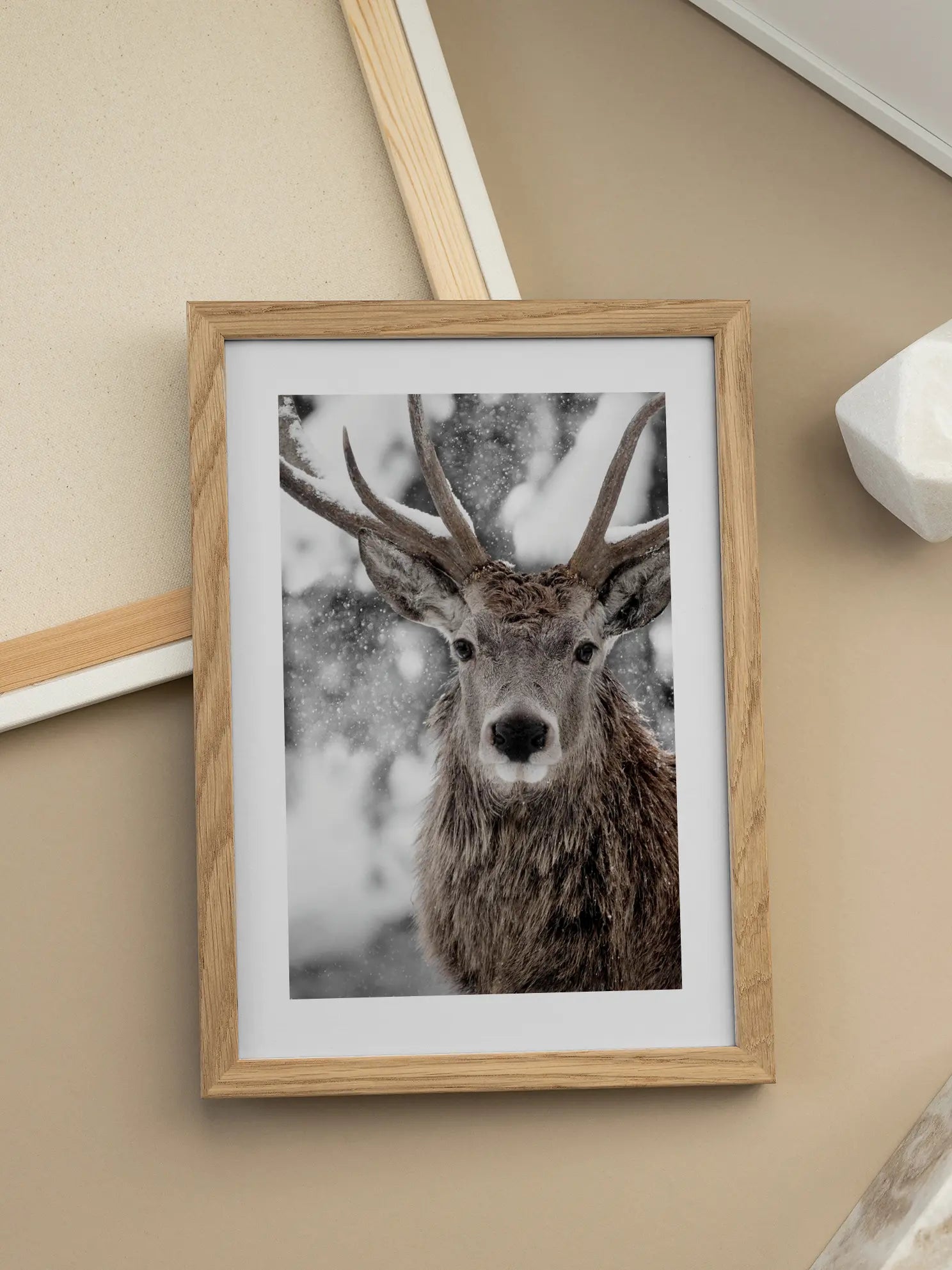Winter Stag Poster