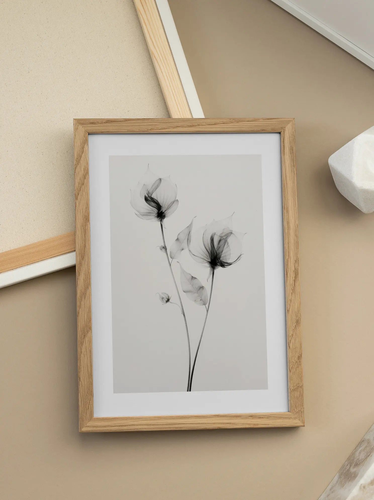 X-ray Roses Poster