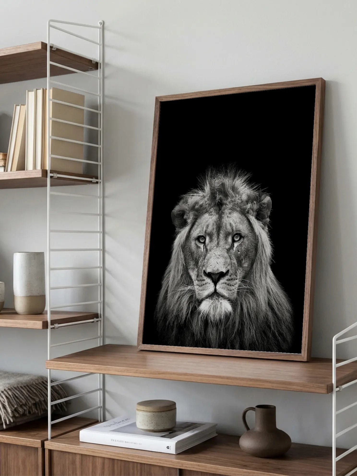 Young Male Lion Poster