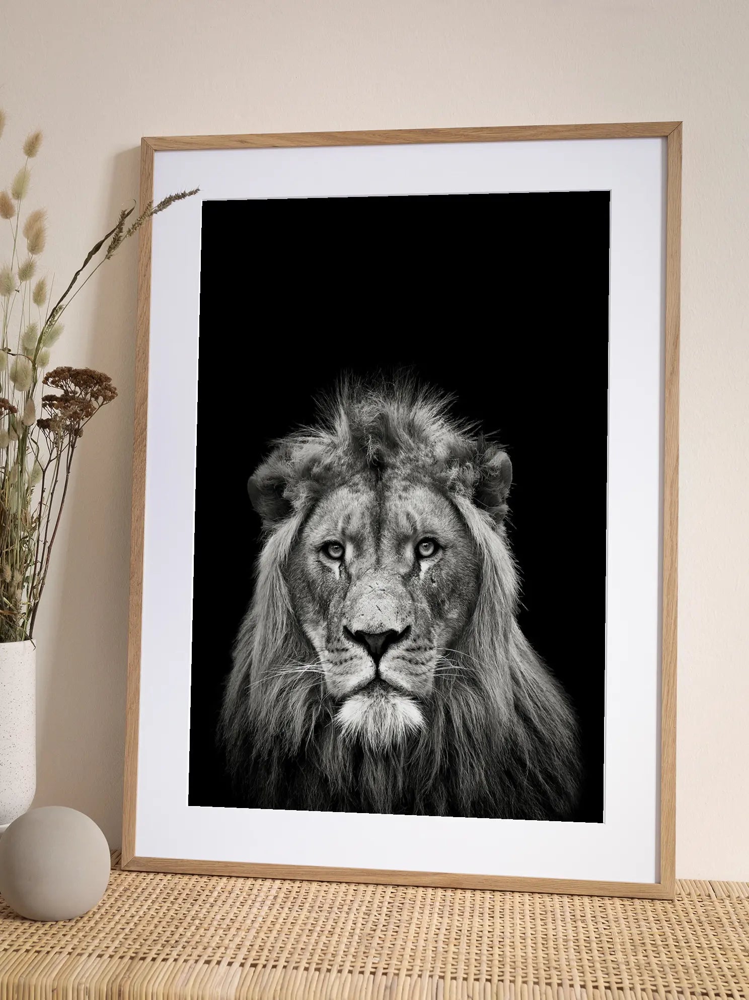 Young Male Lion Poster