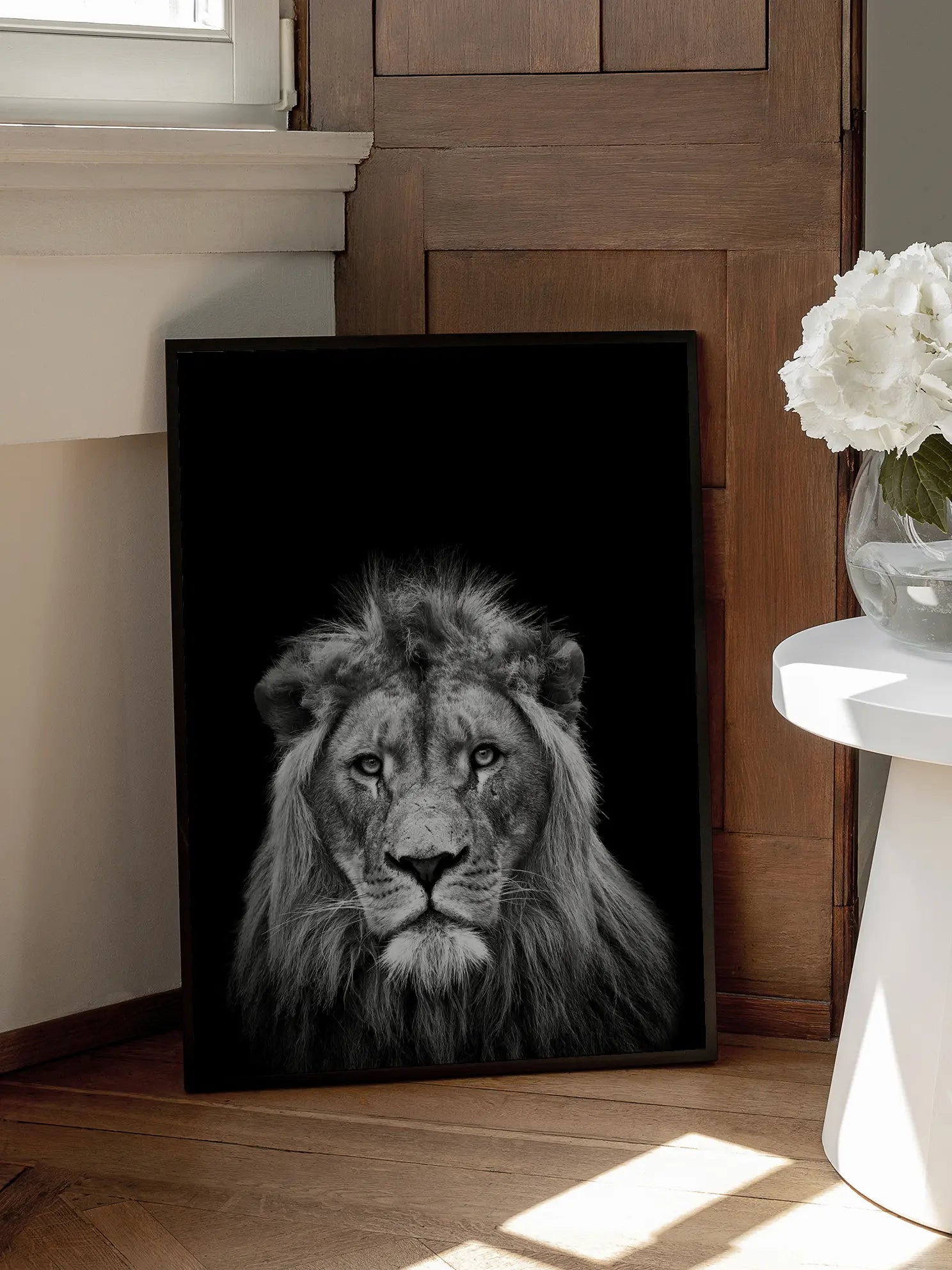 Young Male Lion Poster