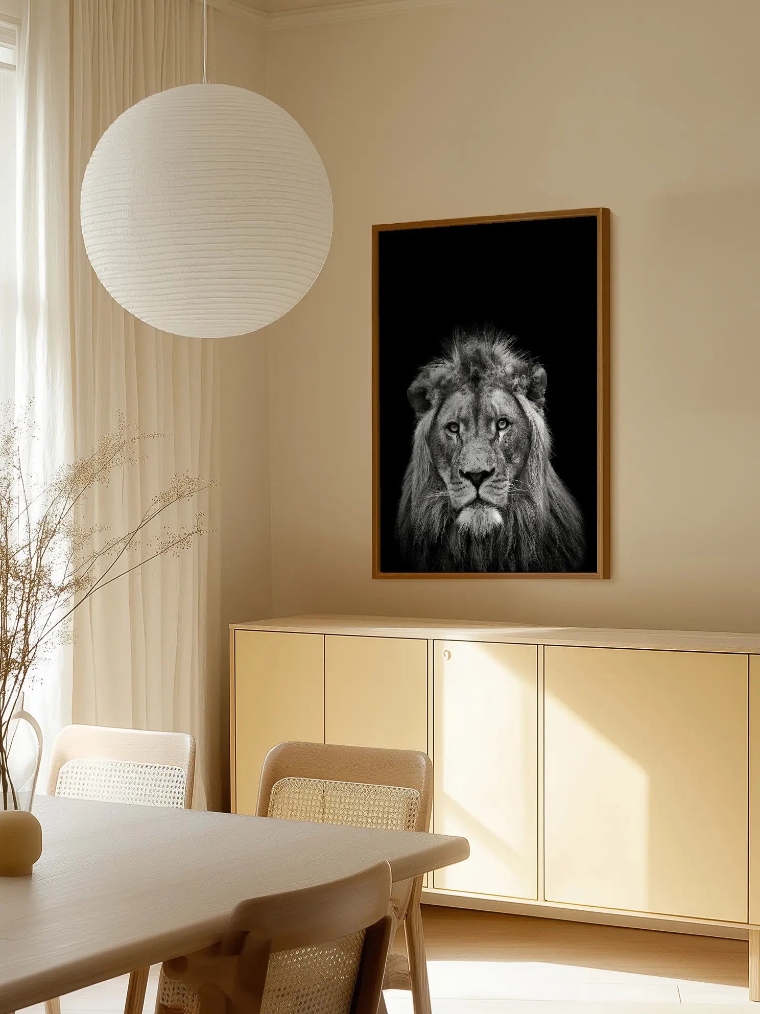 Young Male Lion Poster