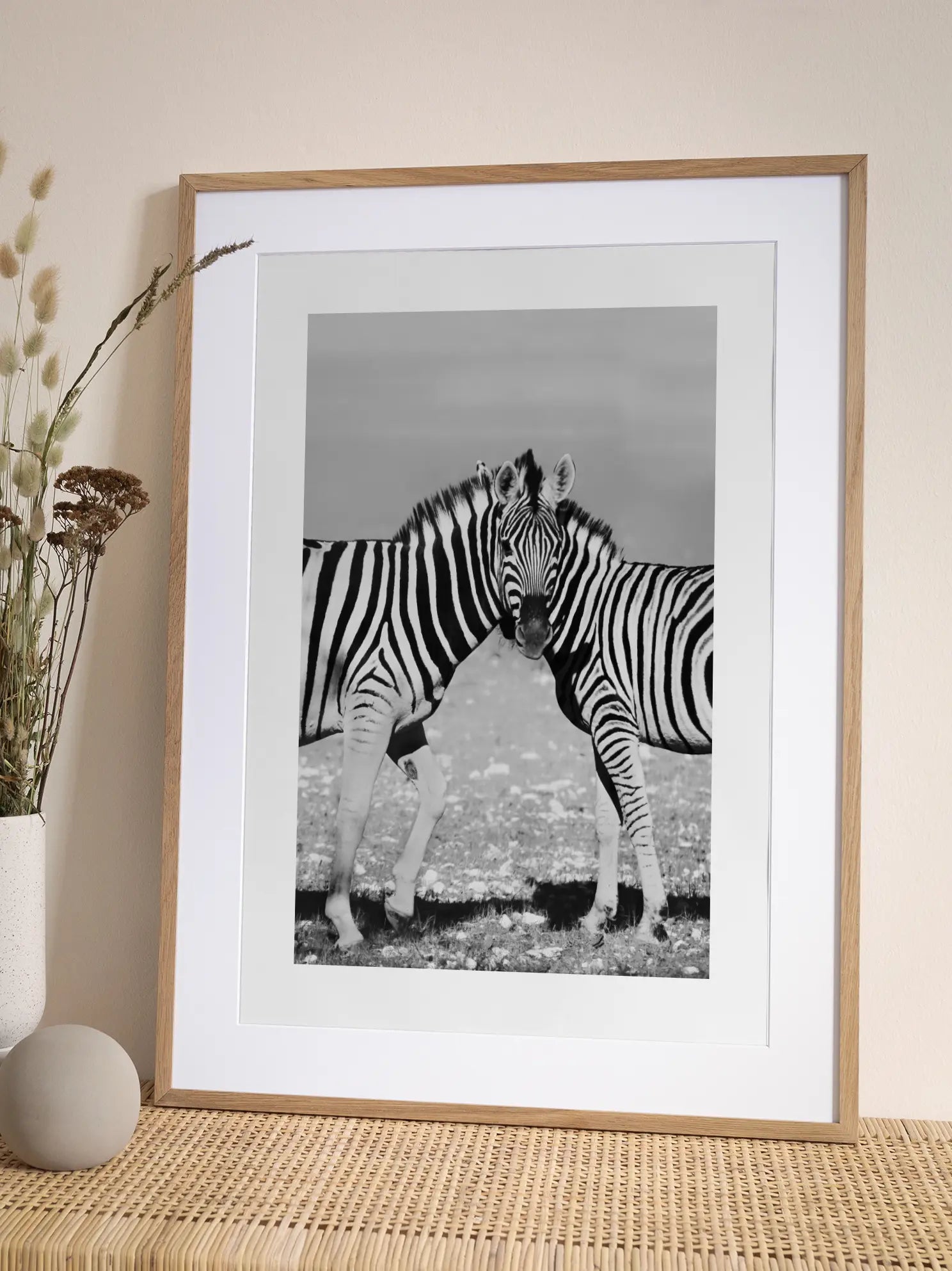 Zebra Stripes Poster